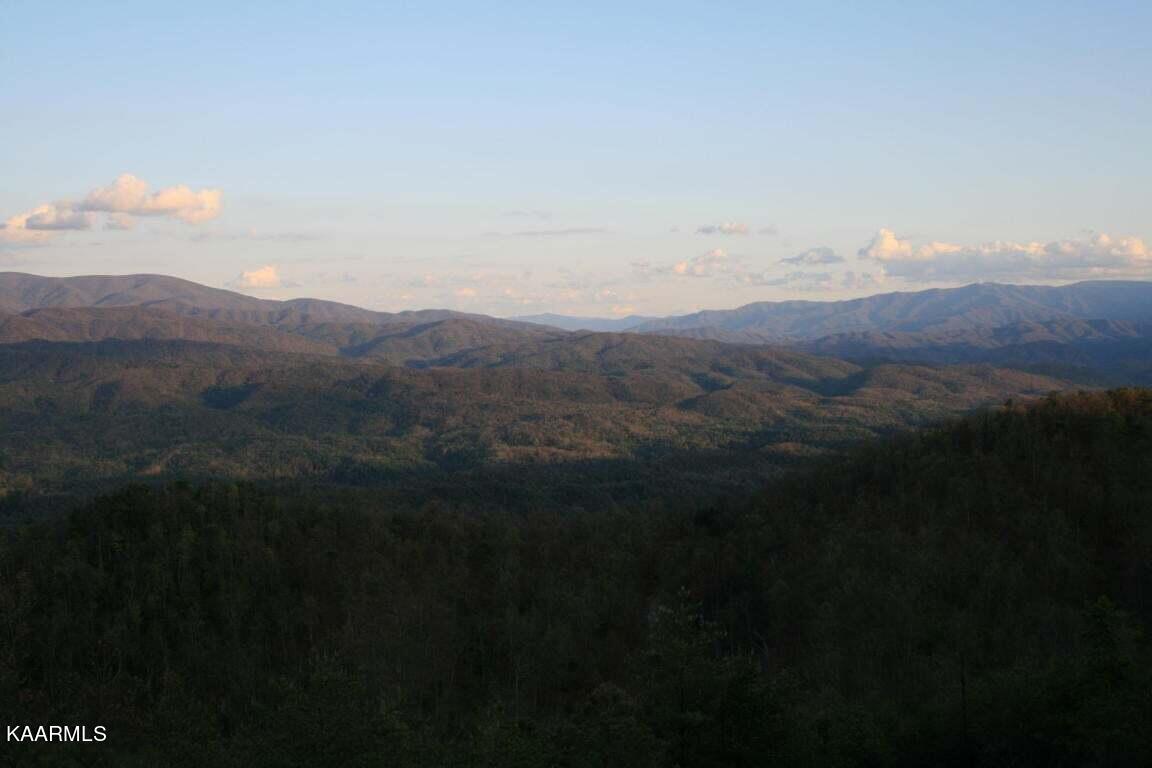 29R4/29R5 Chilhowee Mountain Trail Maryville TN 37803