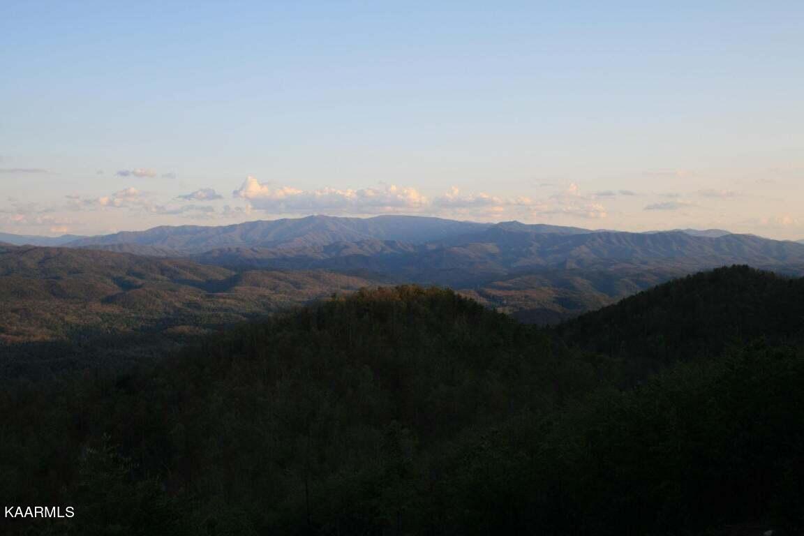 29R4/29R5 Chilhowee Mountain Trail Maryville TN 37803