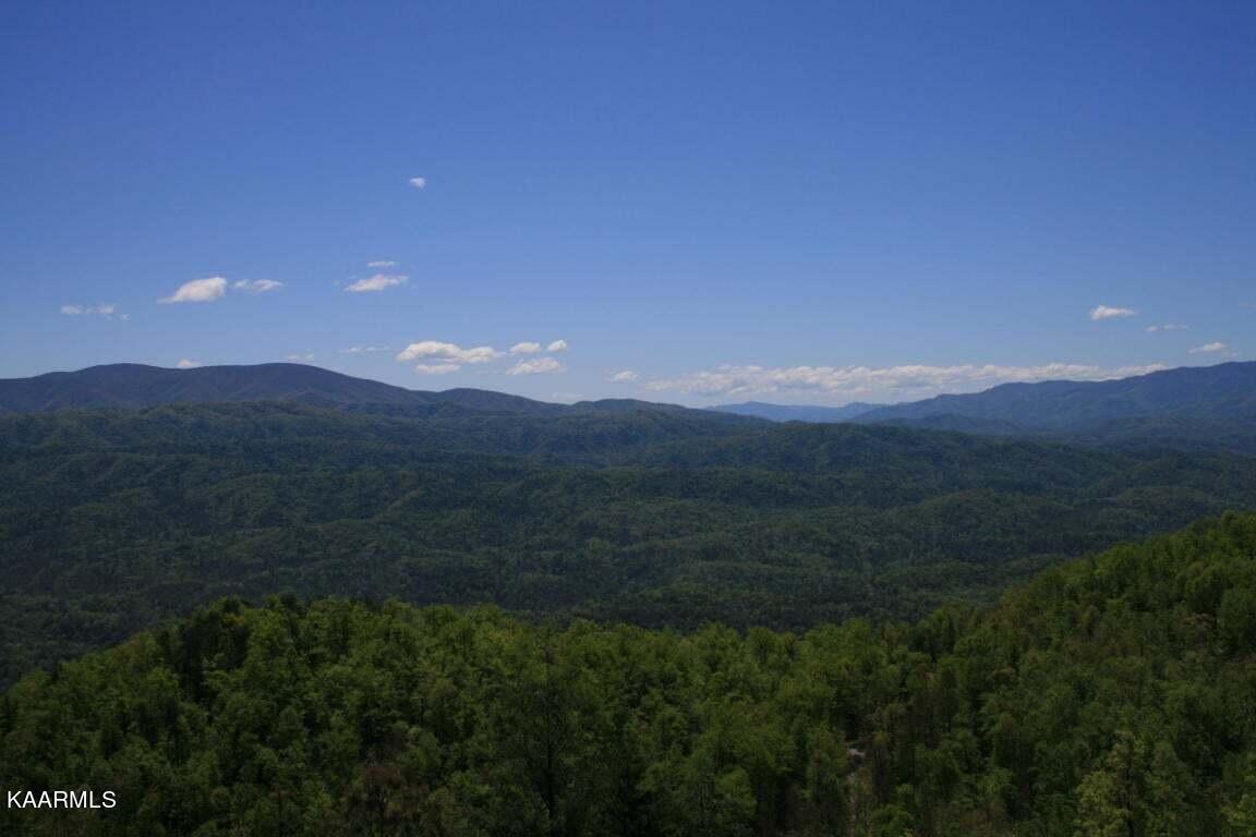 29R4/29R5 Chilhowee Mountain Trail Maryville TN 37803