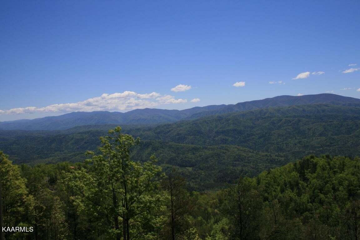 29R4/29R5 Chilhowee Mountain Trail Maryville TN 37803