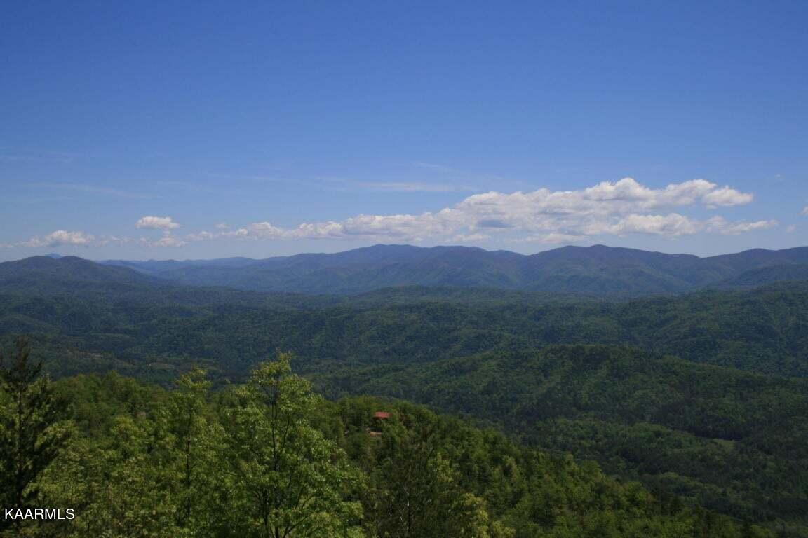 29R4/29R5 Chilhowee Mountain Trail Maryville TN 37803