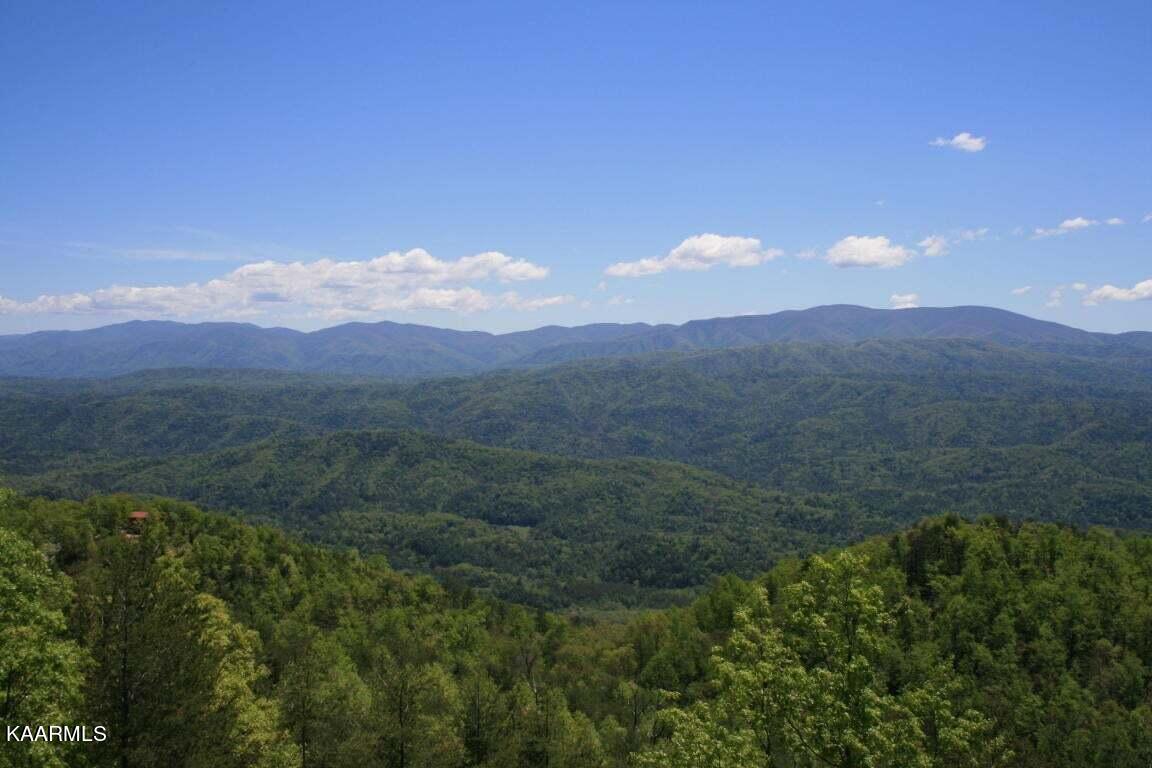 29R4/29R5 Chilhowee Mountain Trail Maryville TN 37803