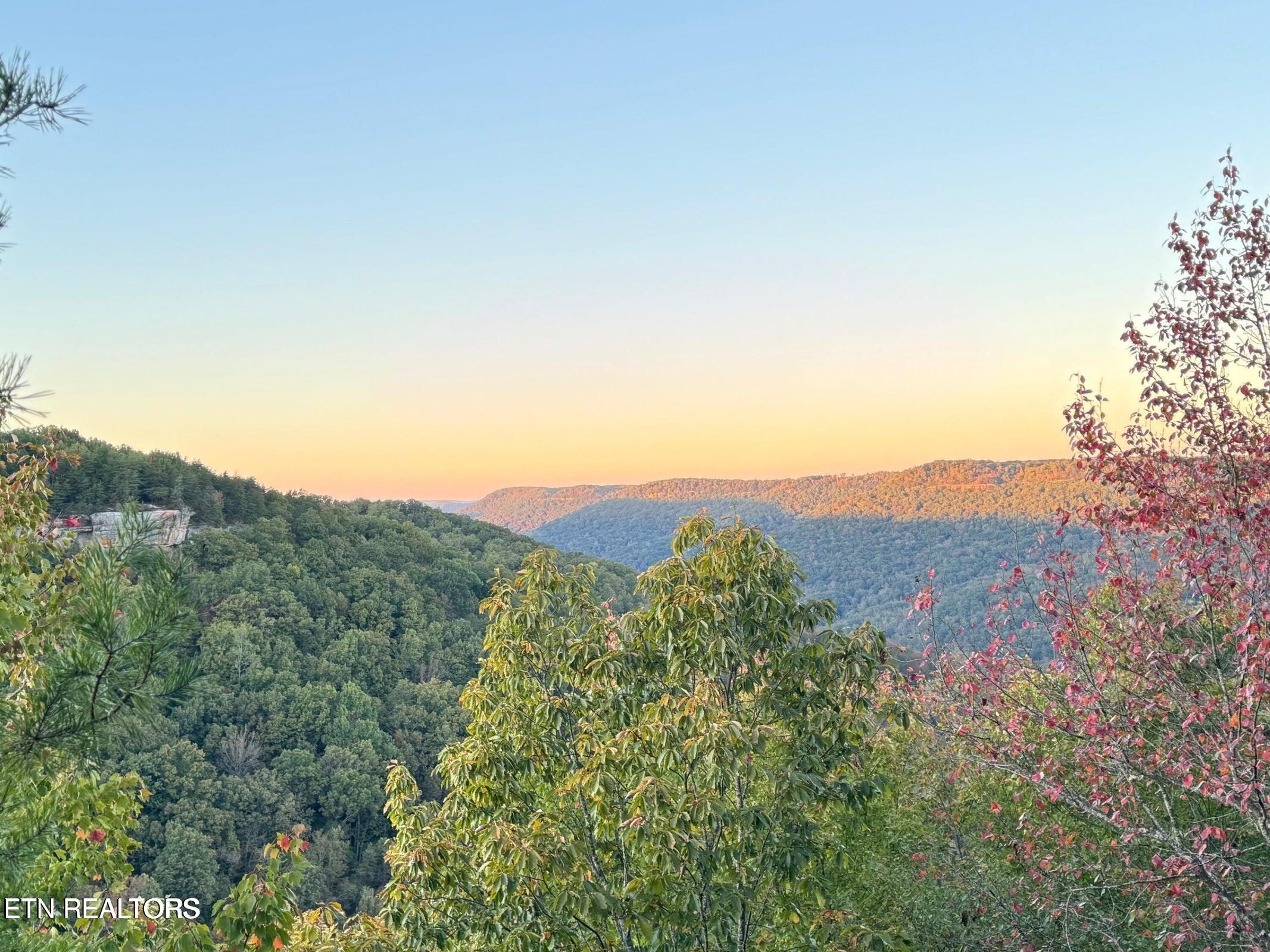 0 Panther Falls Road Wilder TN 38589