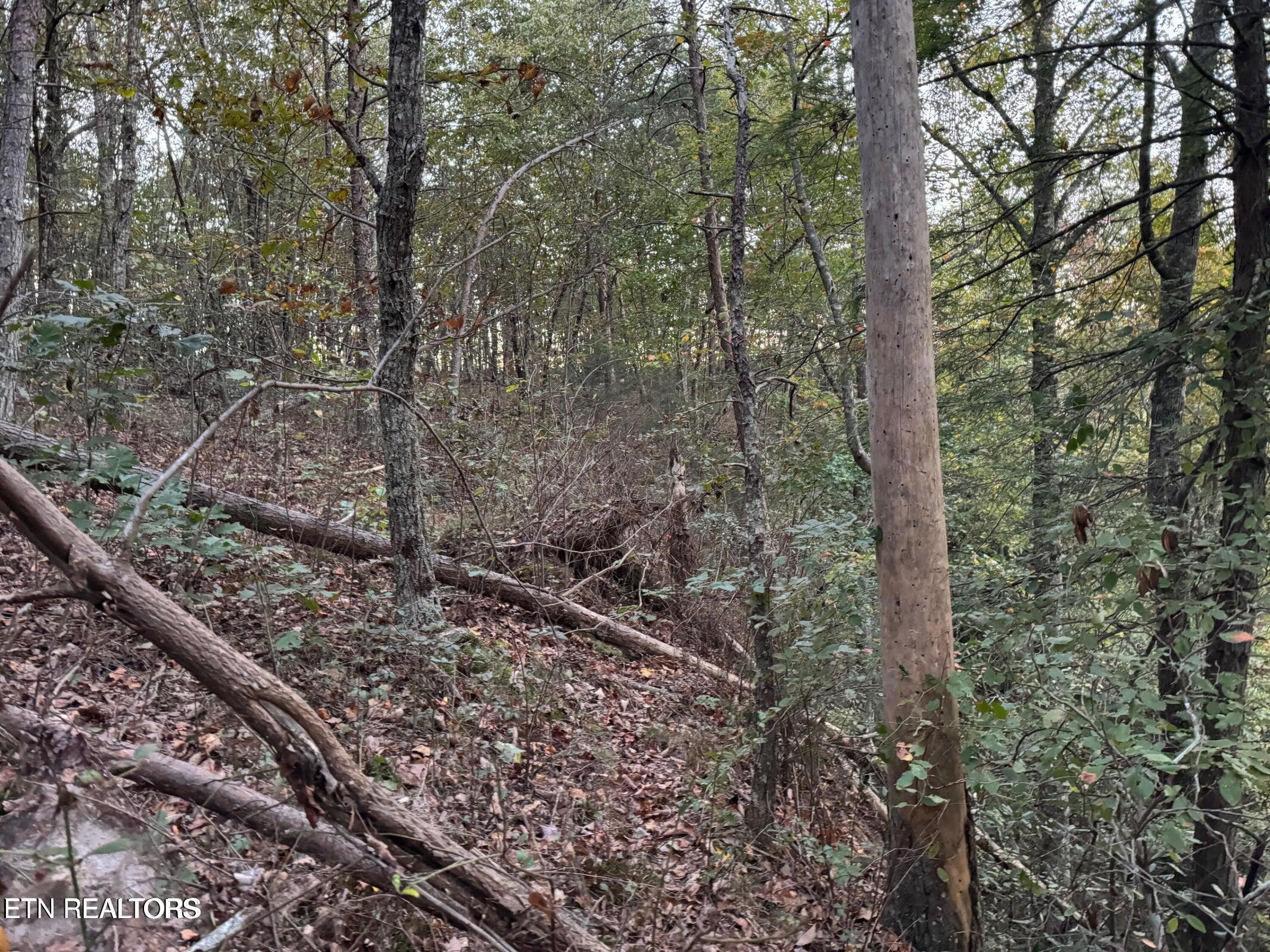 0 Panther Falls Road Wilder TN 38589