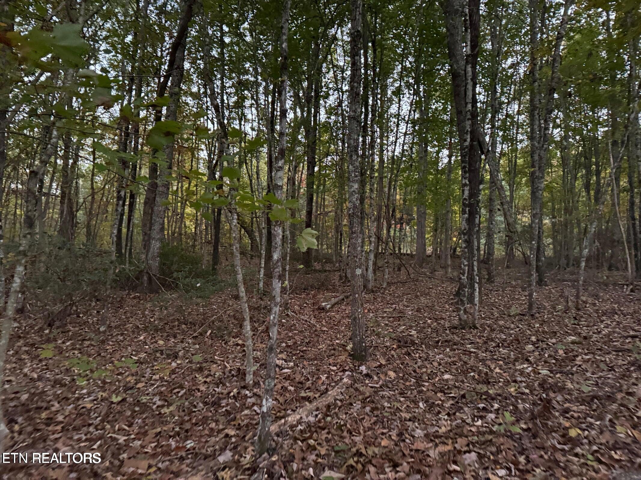 0 Panther Falls Road Wilder TN 38589