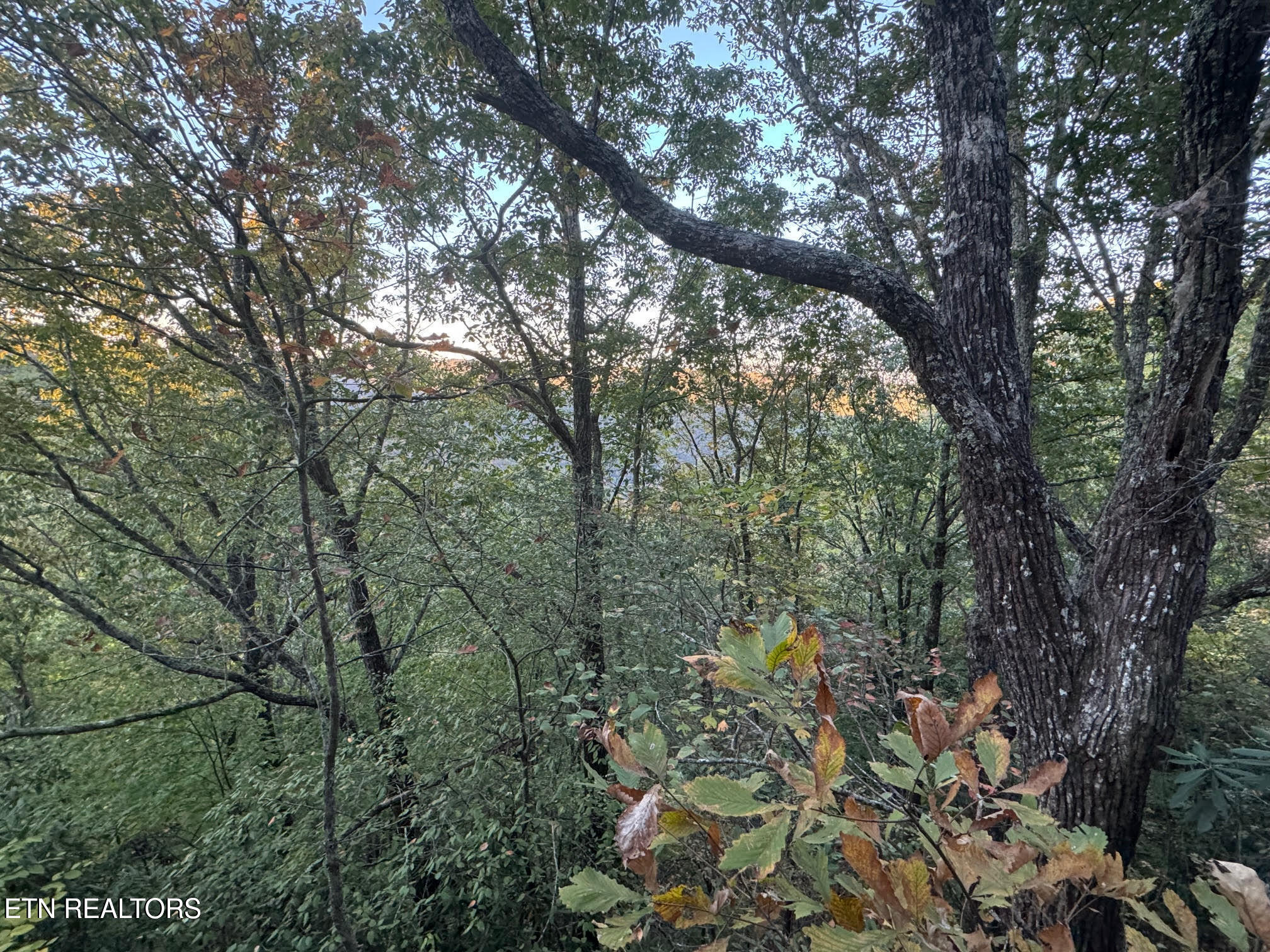 0 Panther Falls Road Wilder TN 38589
