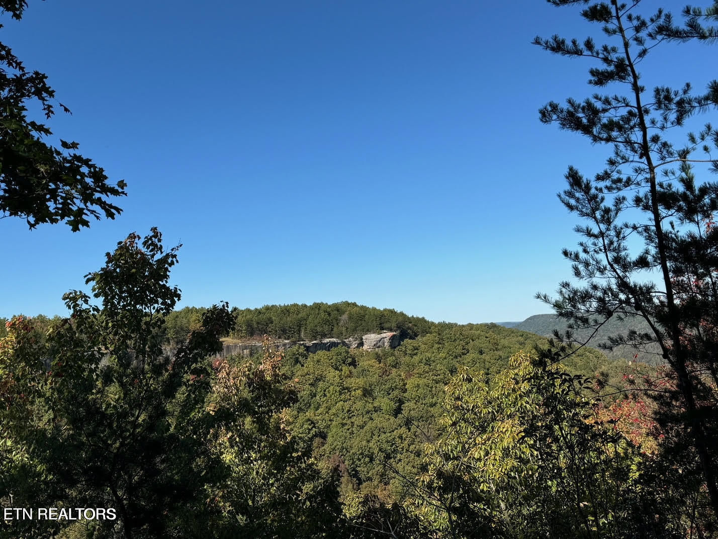 0 Panther Falls Road Wilder TN 38589