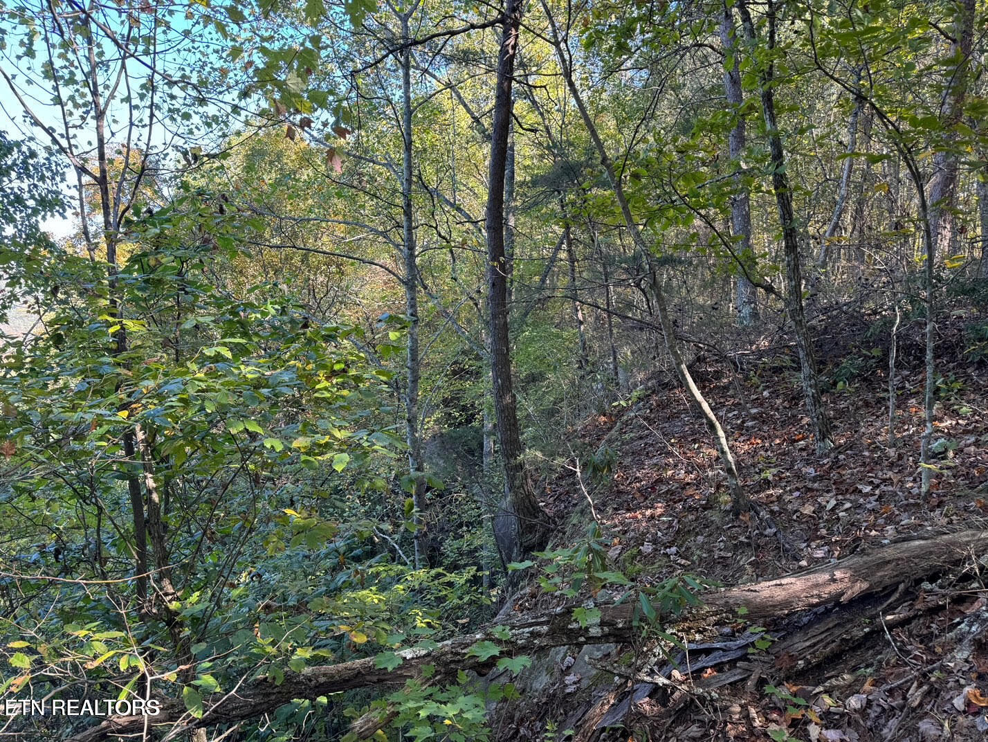 0 Panther Falls Road Wilder TN 38589