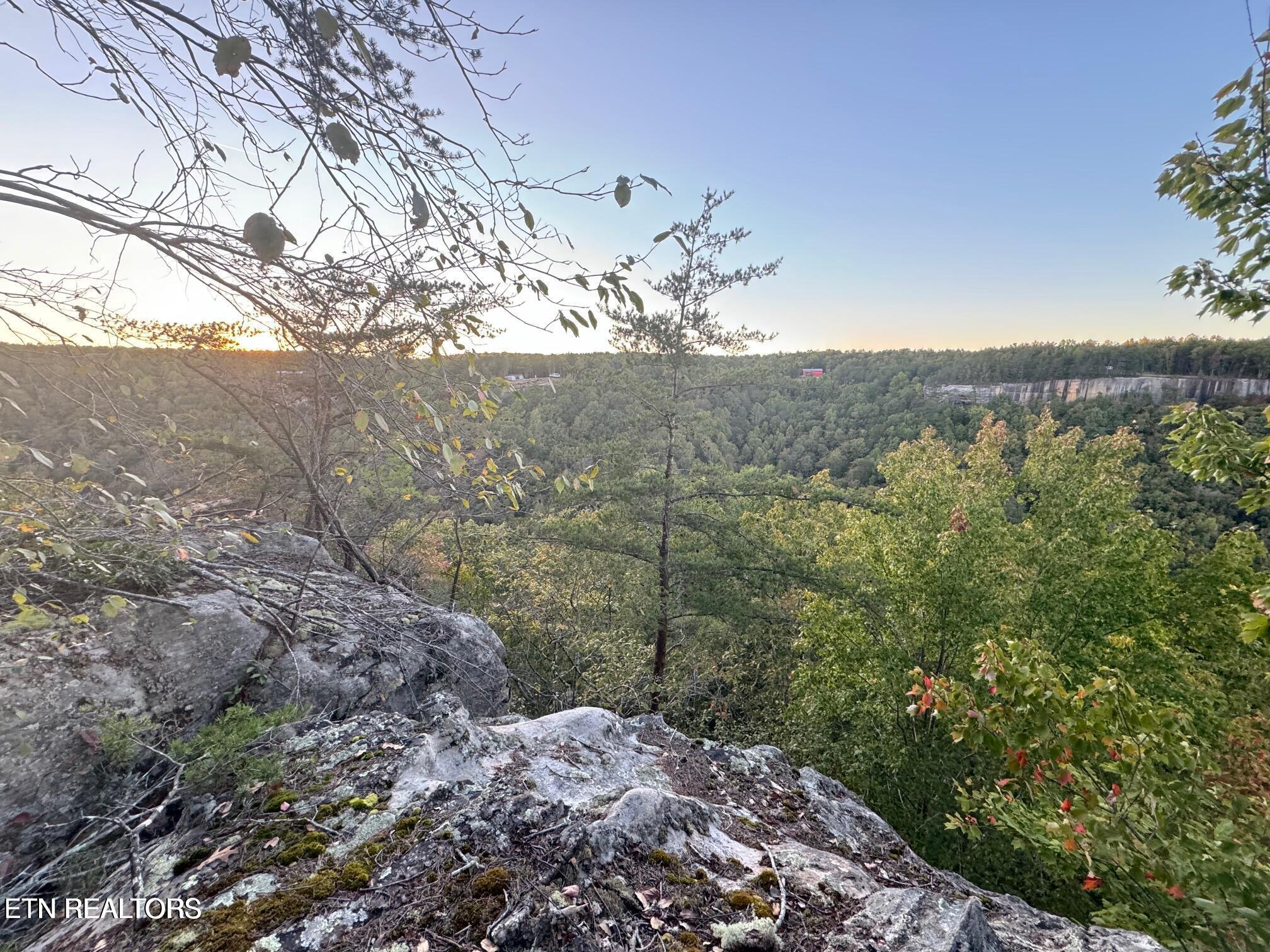 0 Panther Falls Road Wilder TN 38589