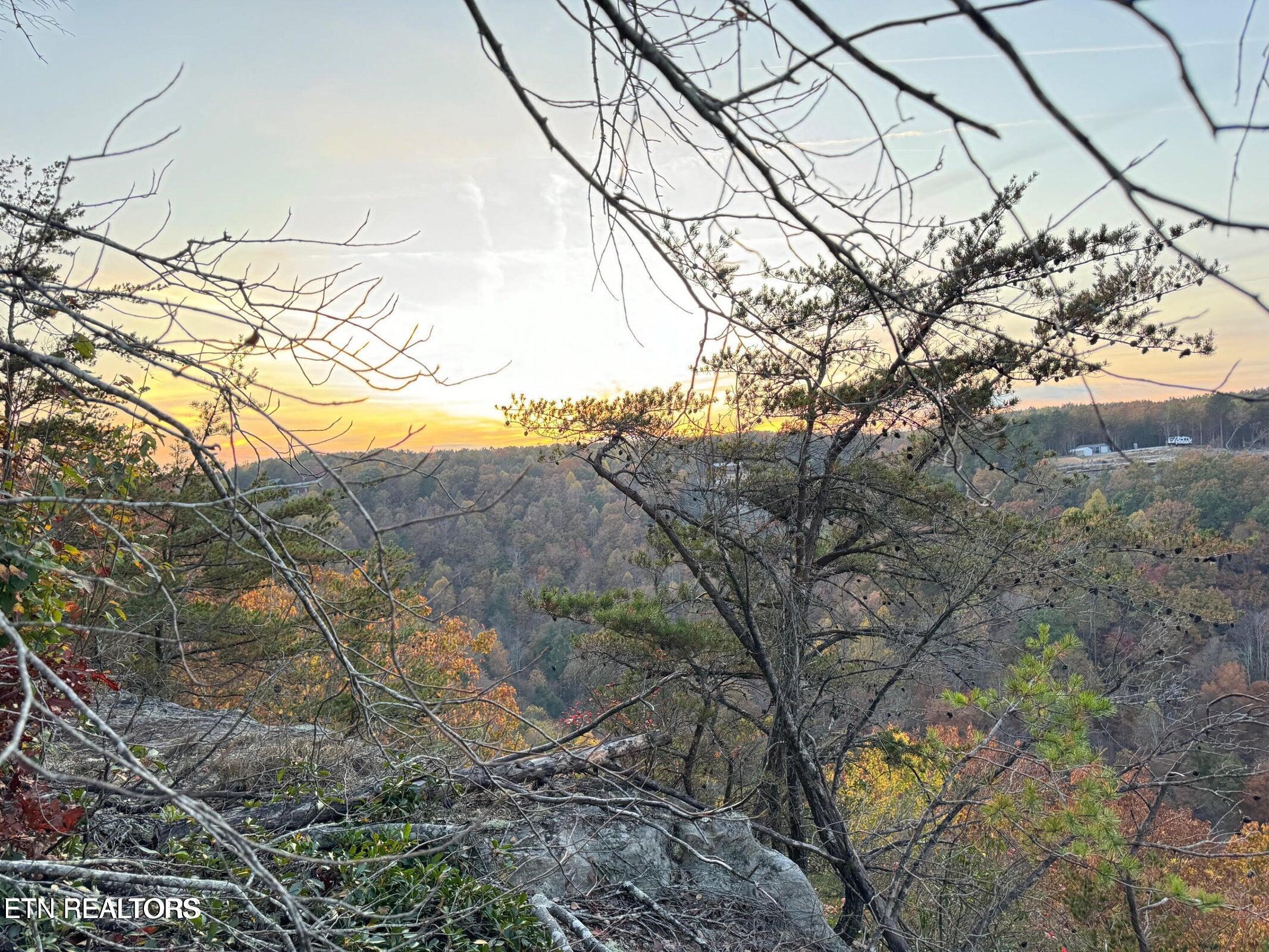 0 Panther Falls Road Wilder TN 38589