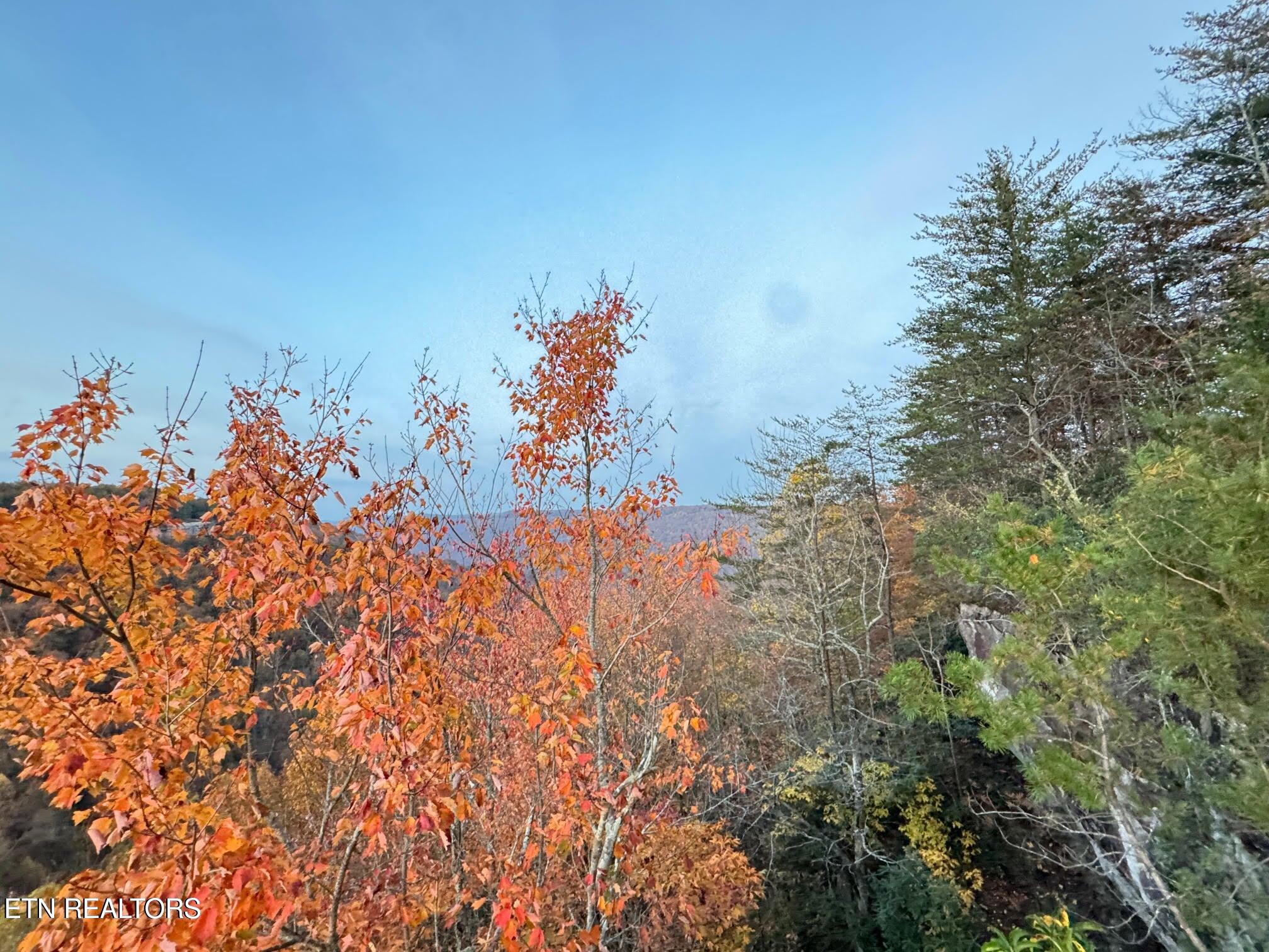 0 Panther Falls Road Wilder TN 38589