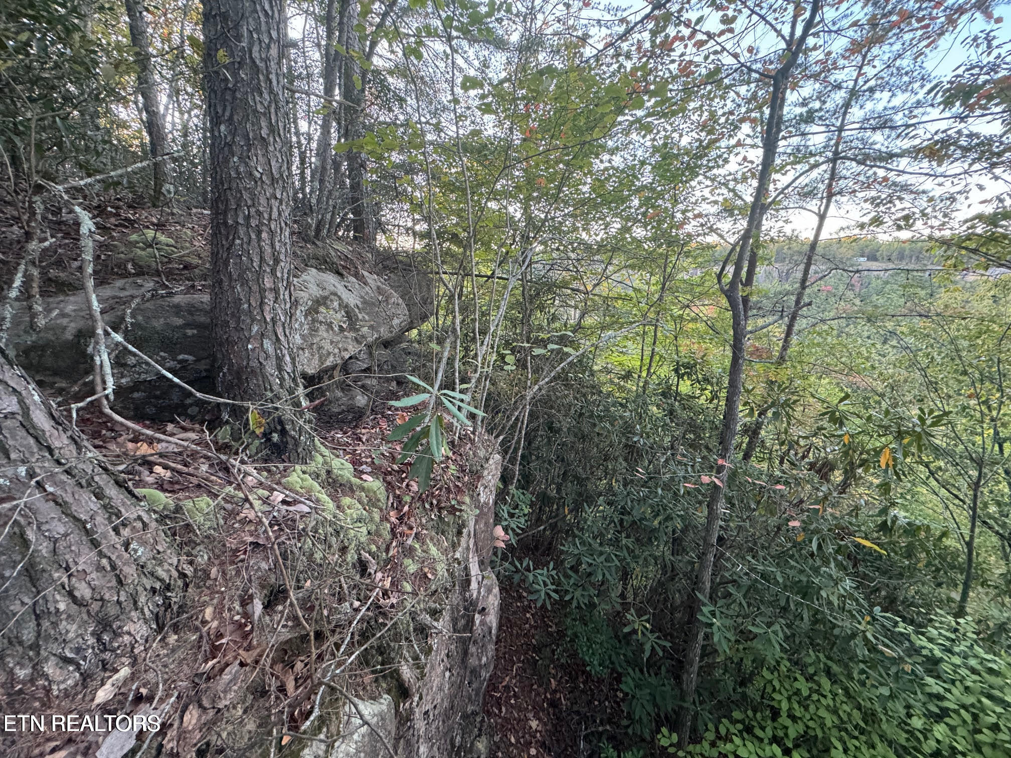 0 Panther Falls Road Wilder TN 38589