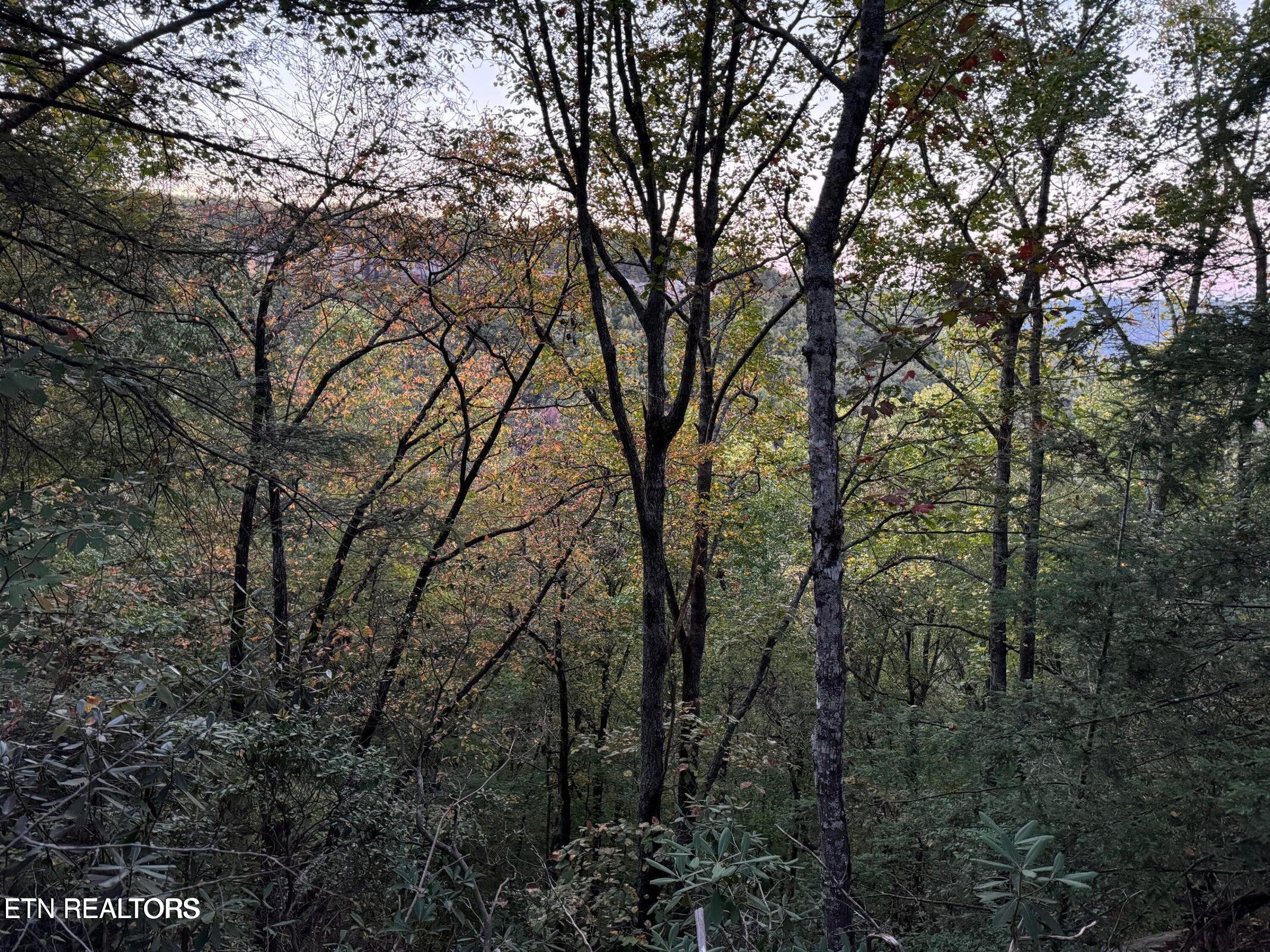 0 Panther Falls Road Wilder TN 38589