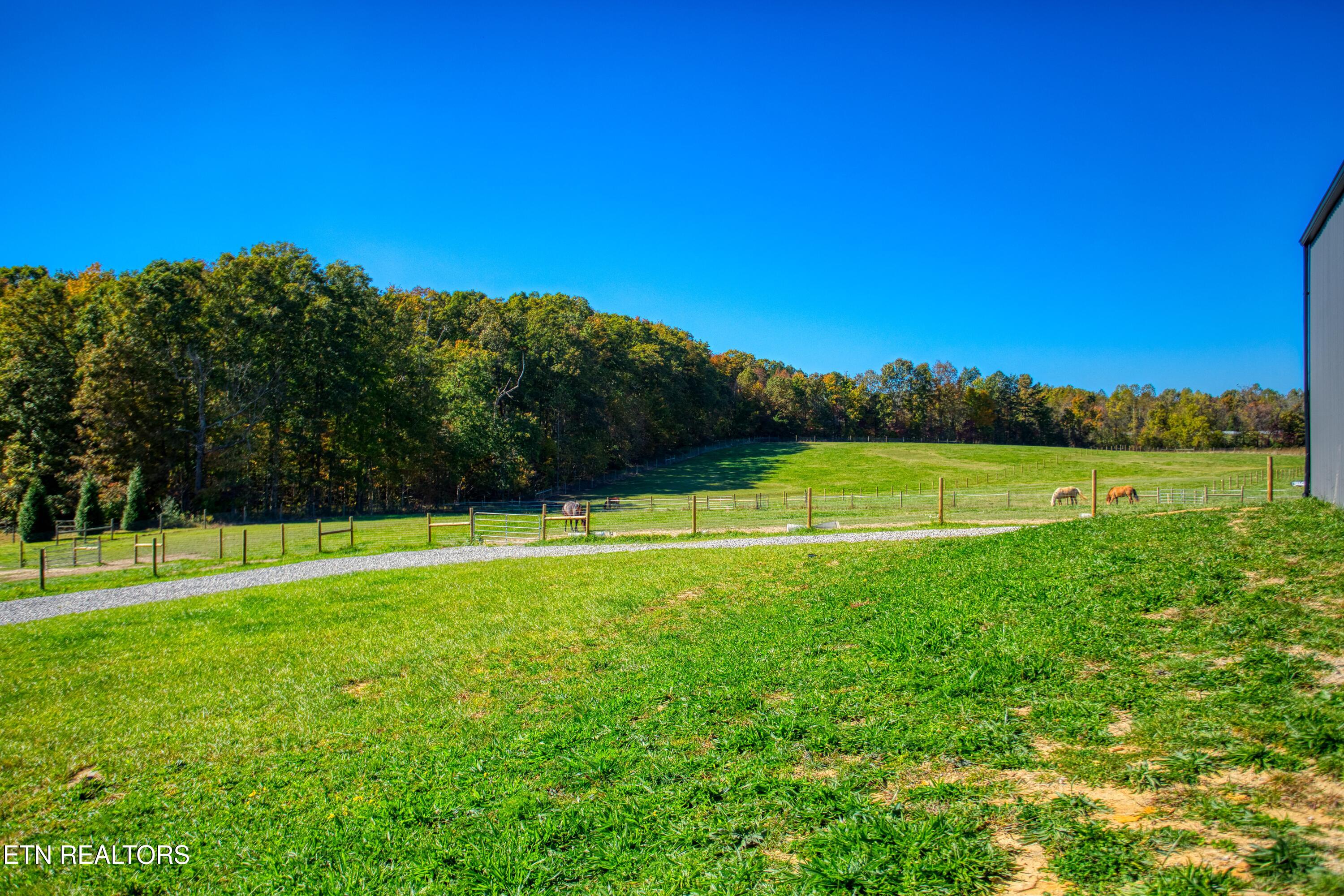 1008 Tanglewood Boulevard Jamestown TN 38556