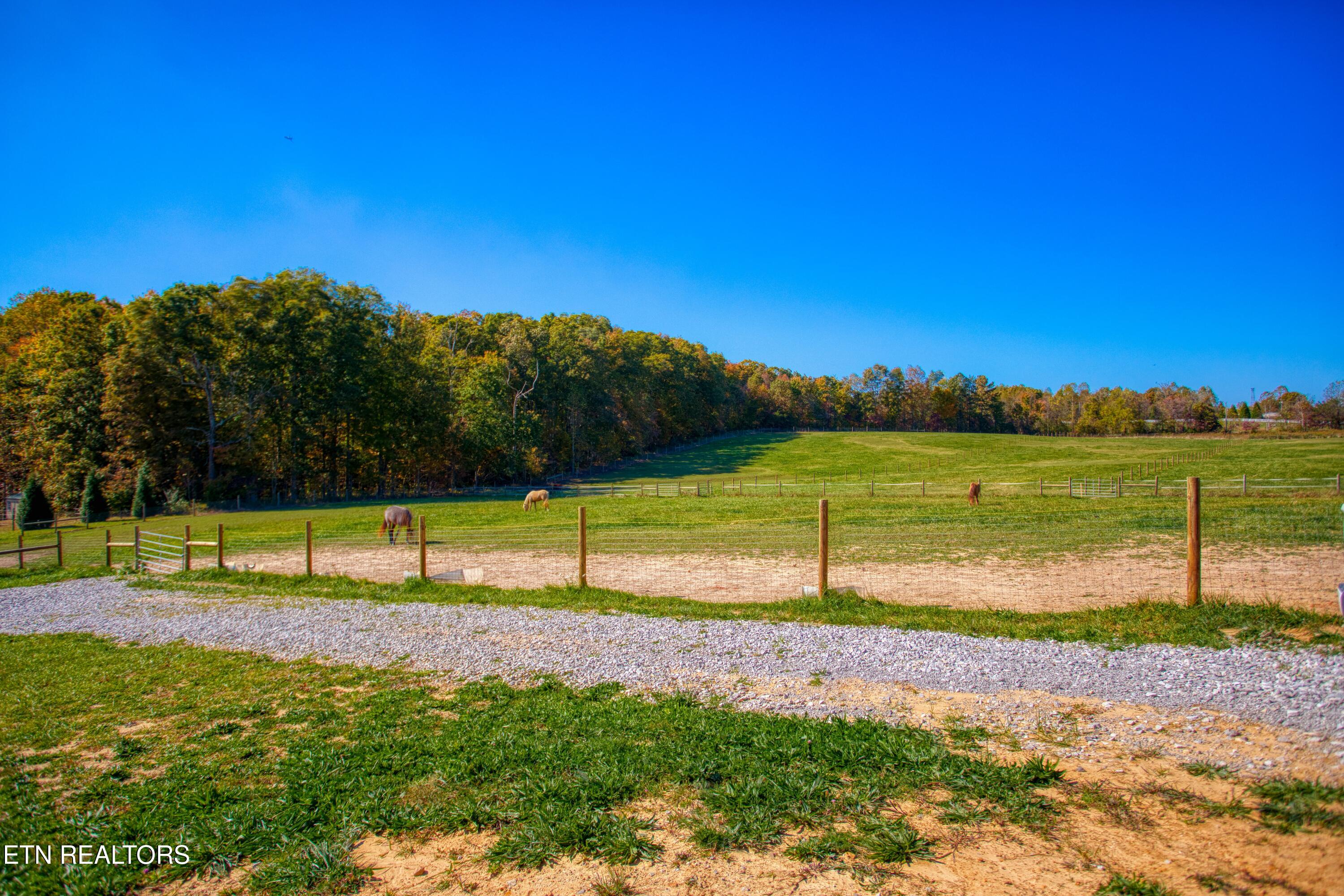 1008 Tanglewood Boulevard Jamestown TN 38556