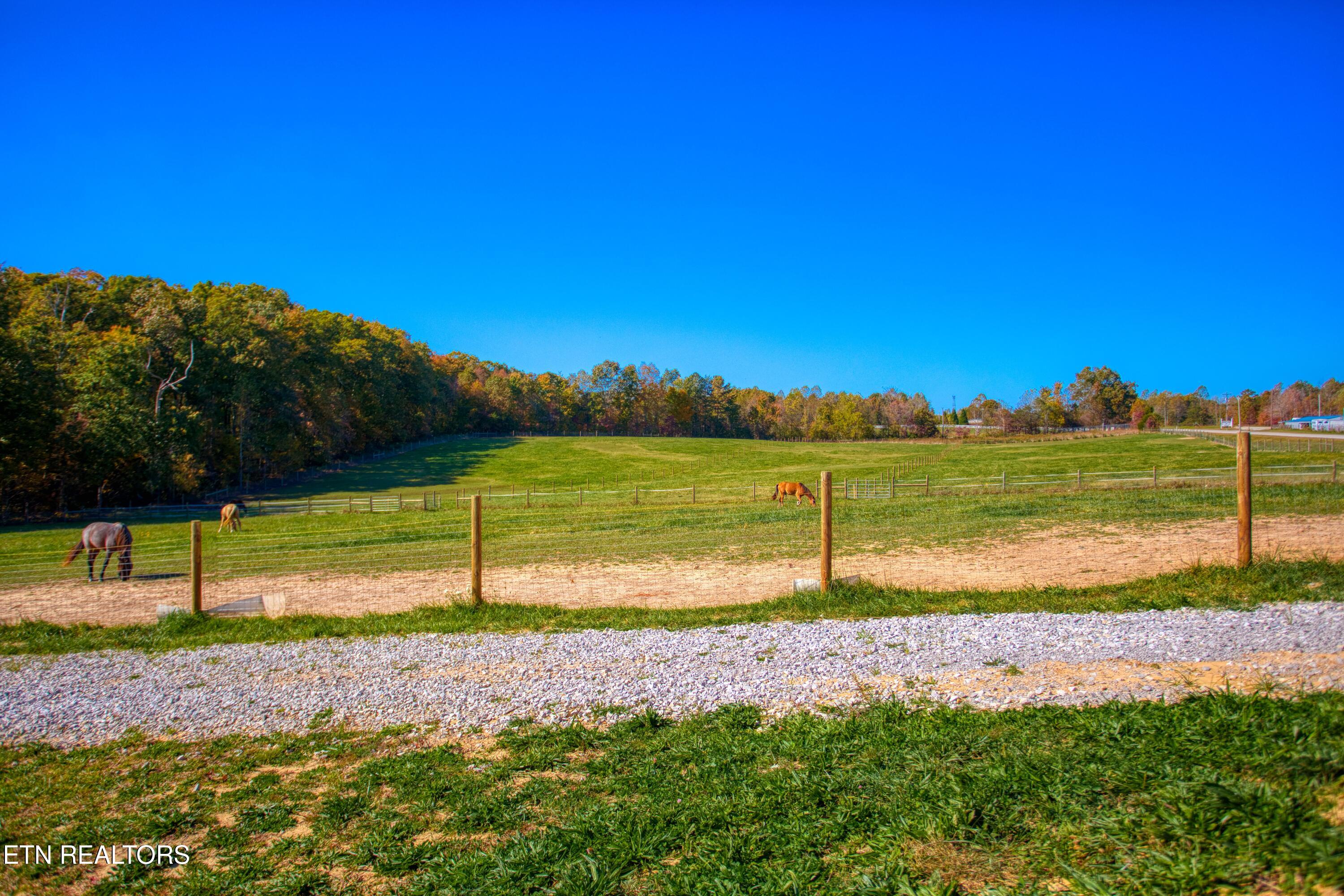 1008 Tanglewood Boulevard Jamestown TN 38556