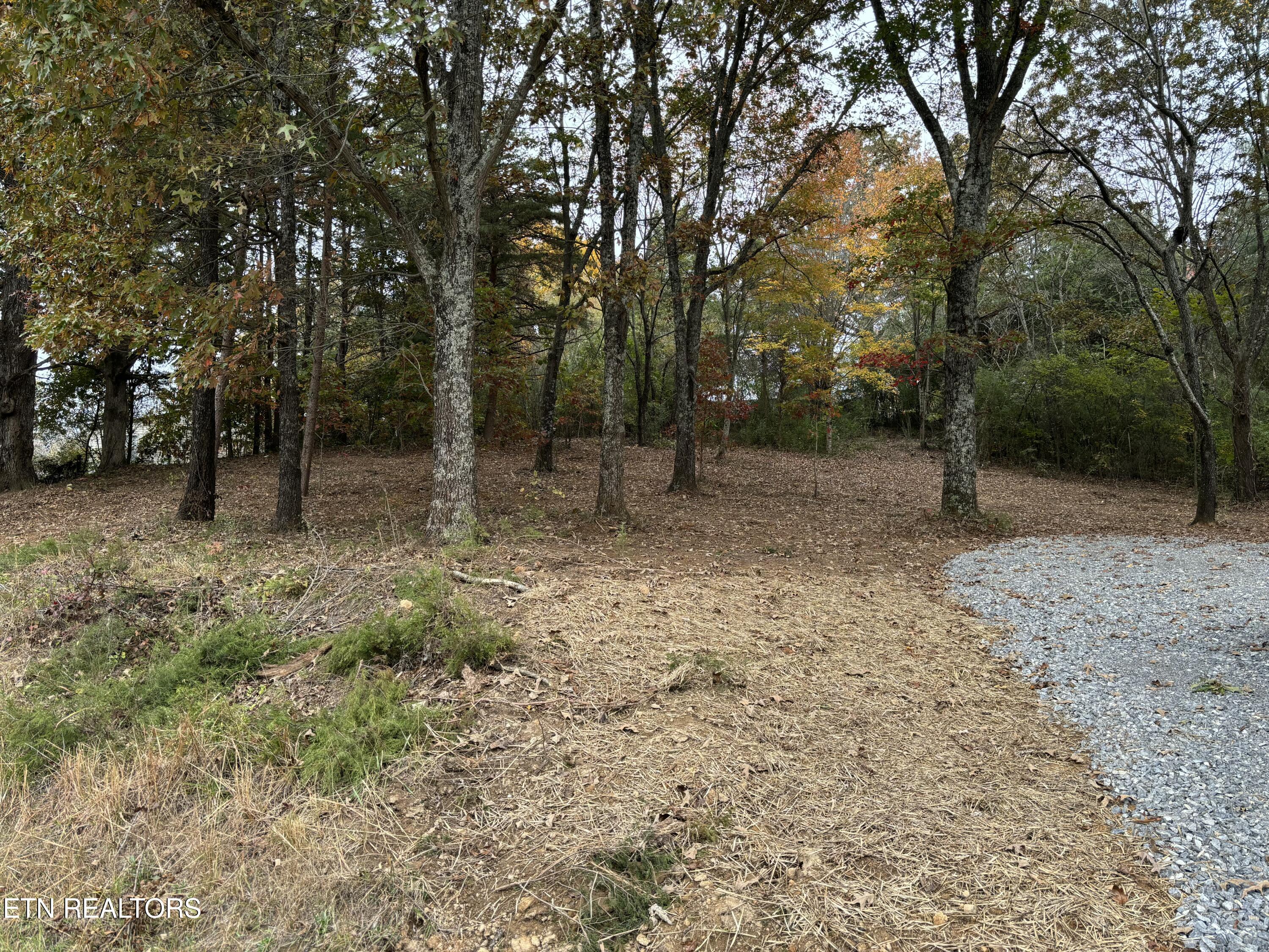 282 S Long Hollow Road Maryville TN 37803