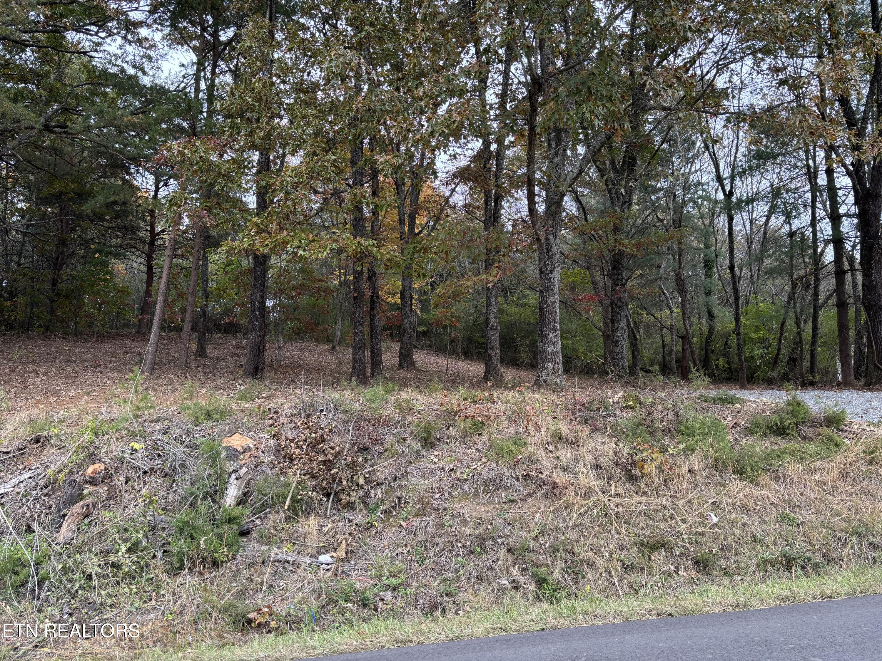 282 S Long Hollow Road Maryville TN 37803