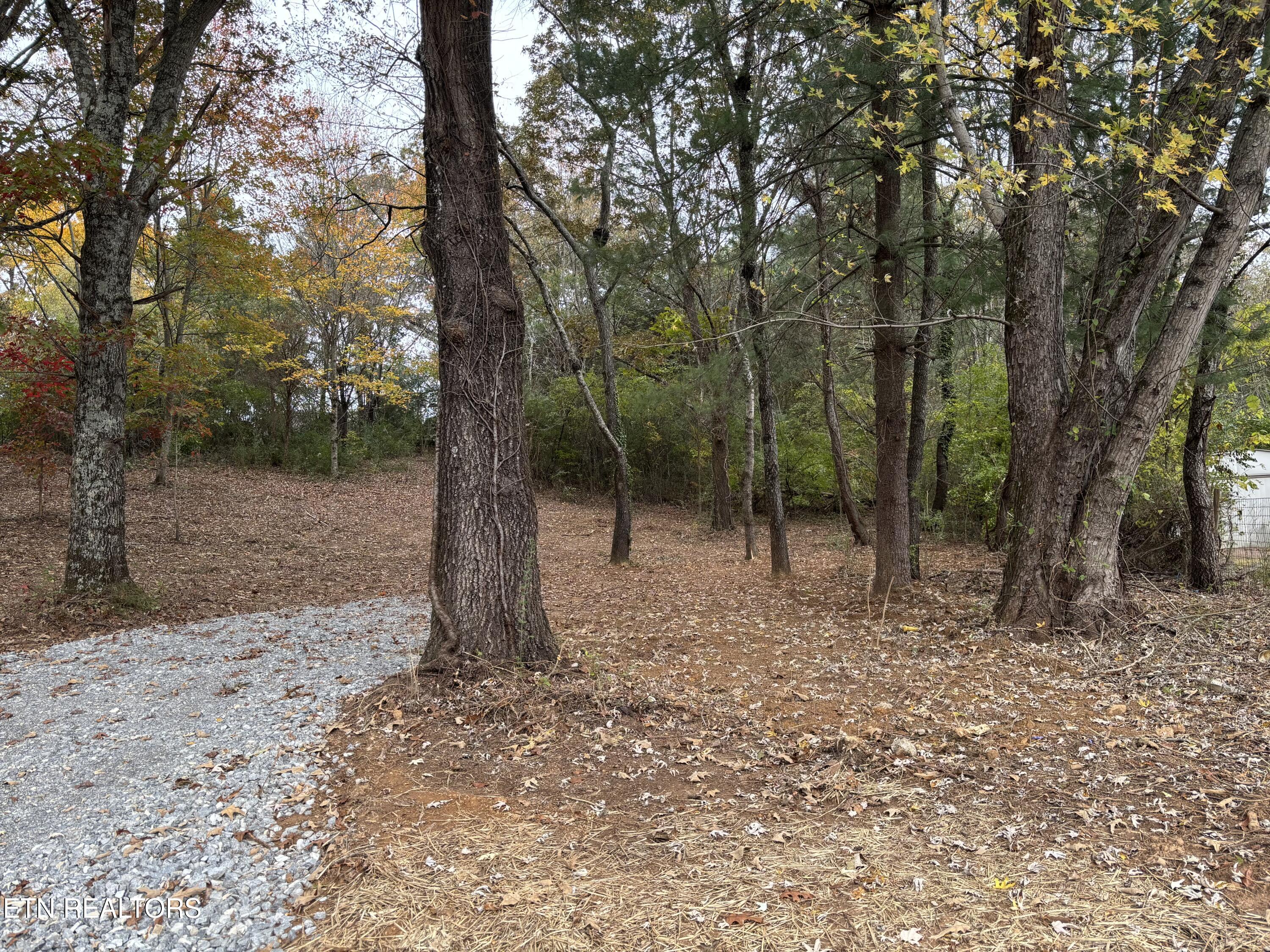 282 S Long Hollow Road Maryville TN 37803