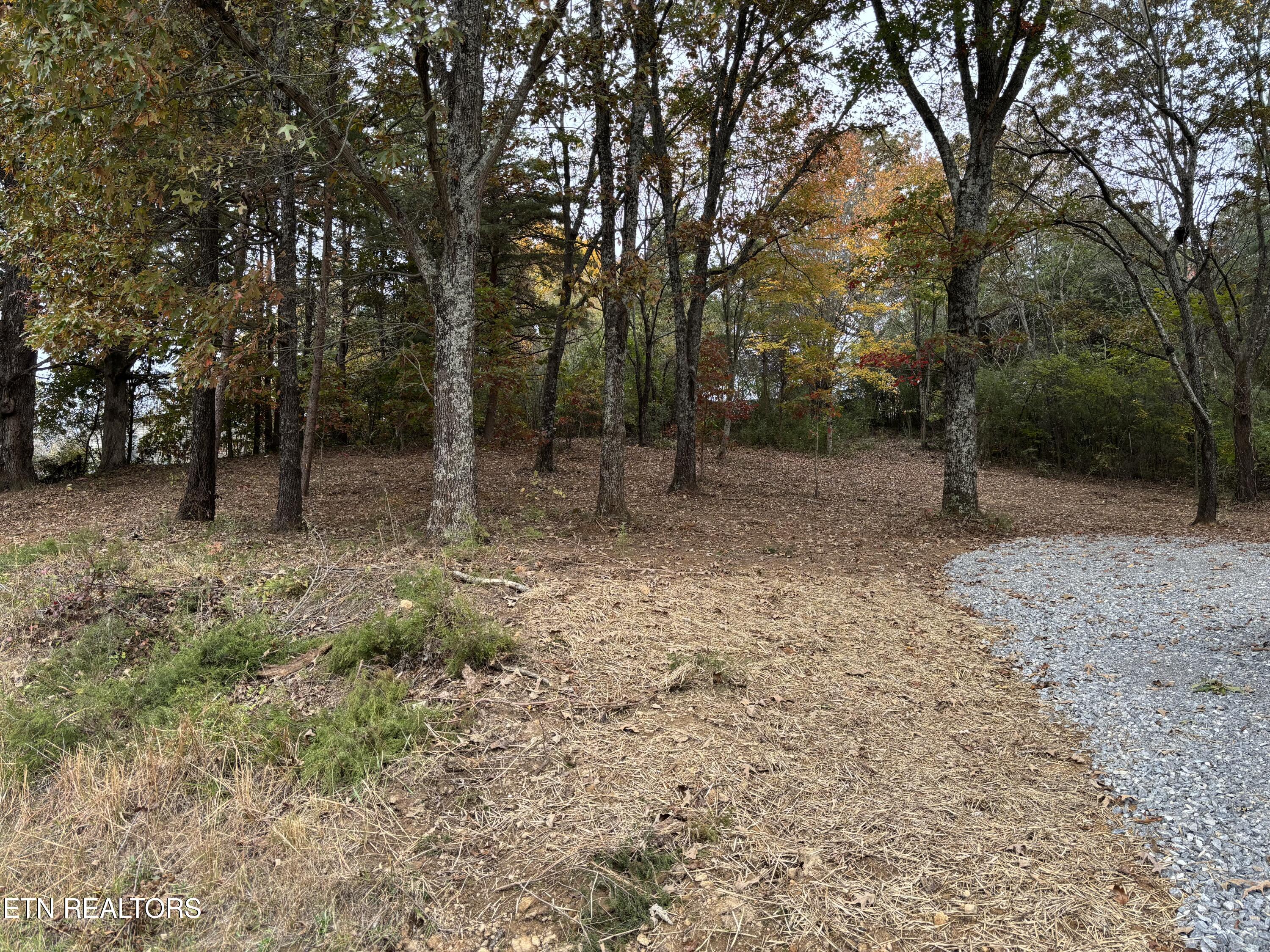 282 S Long Hollow Road Maryville TN 37803