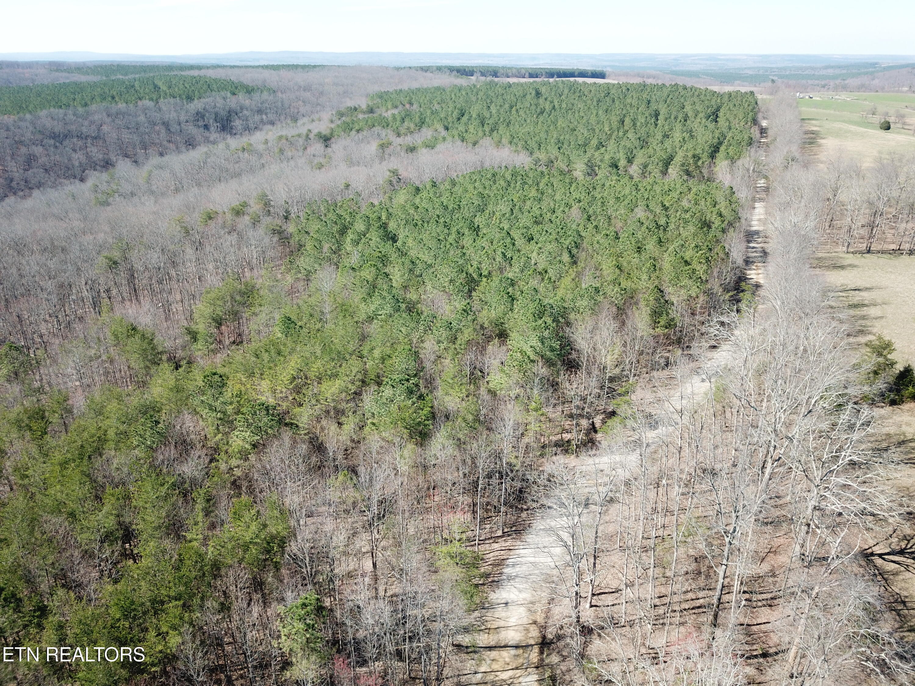 Buckridge Road Crossville TN 38572