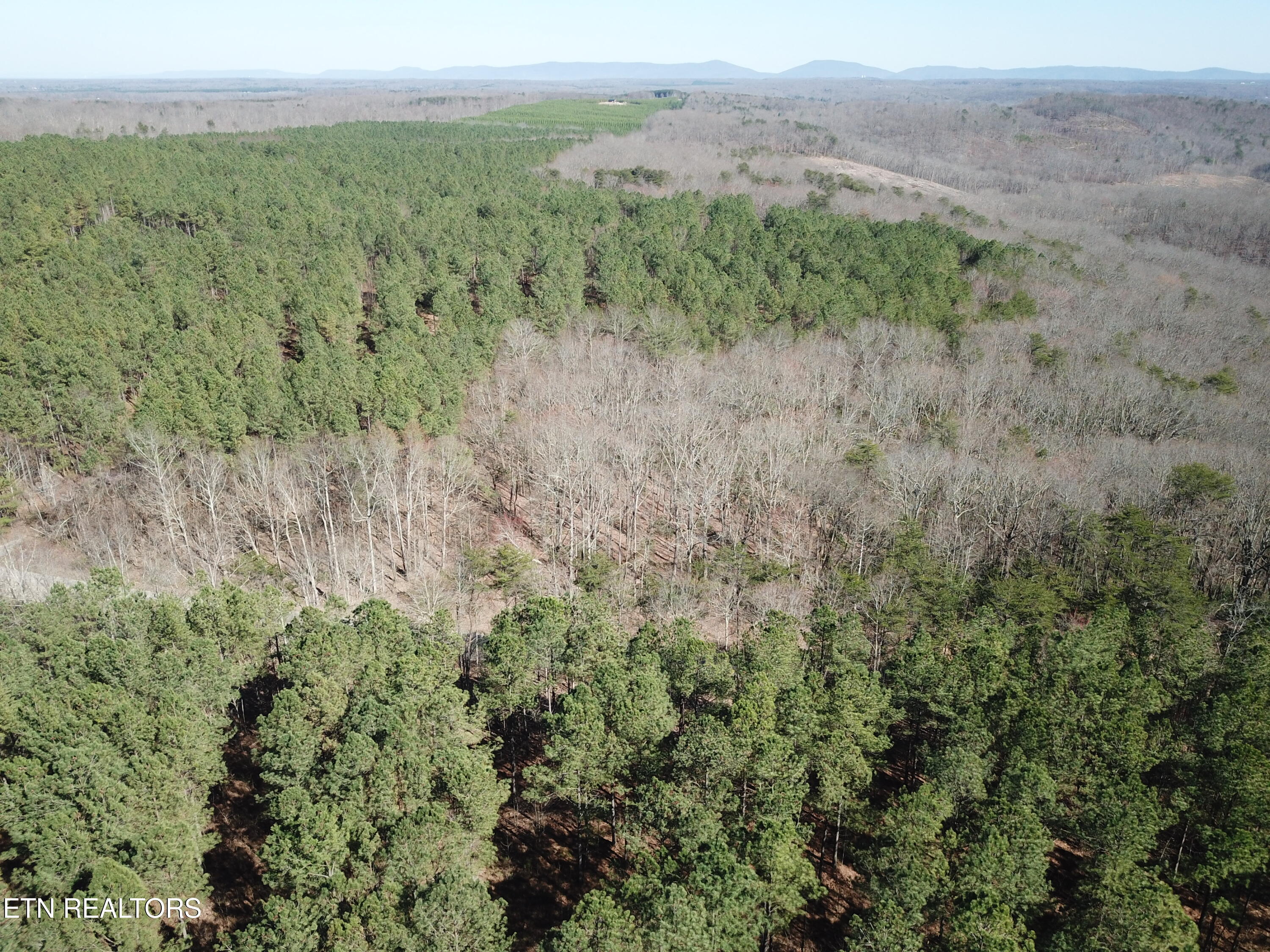 Buckridge Road Crossville TN 38572