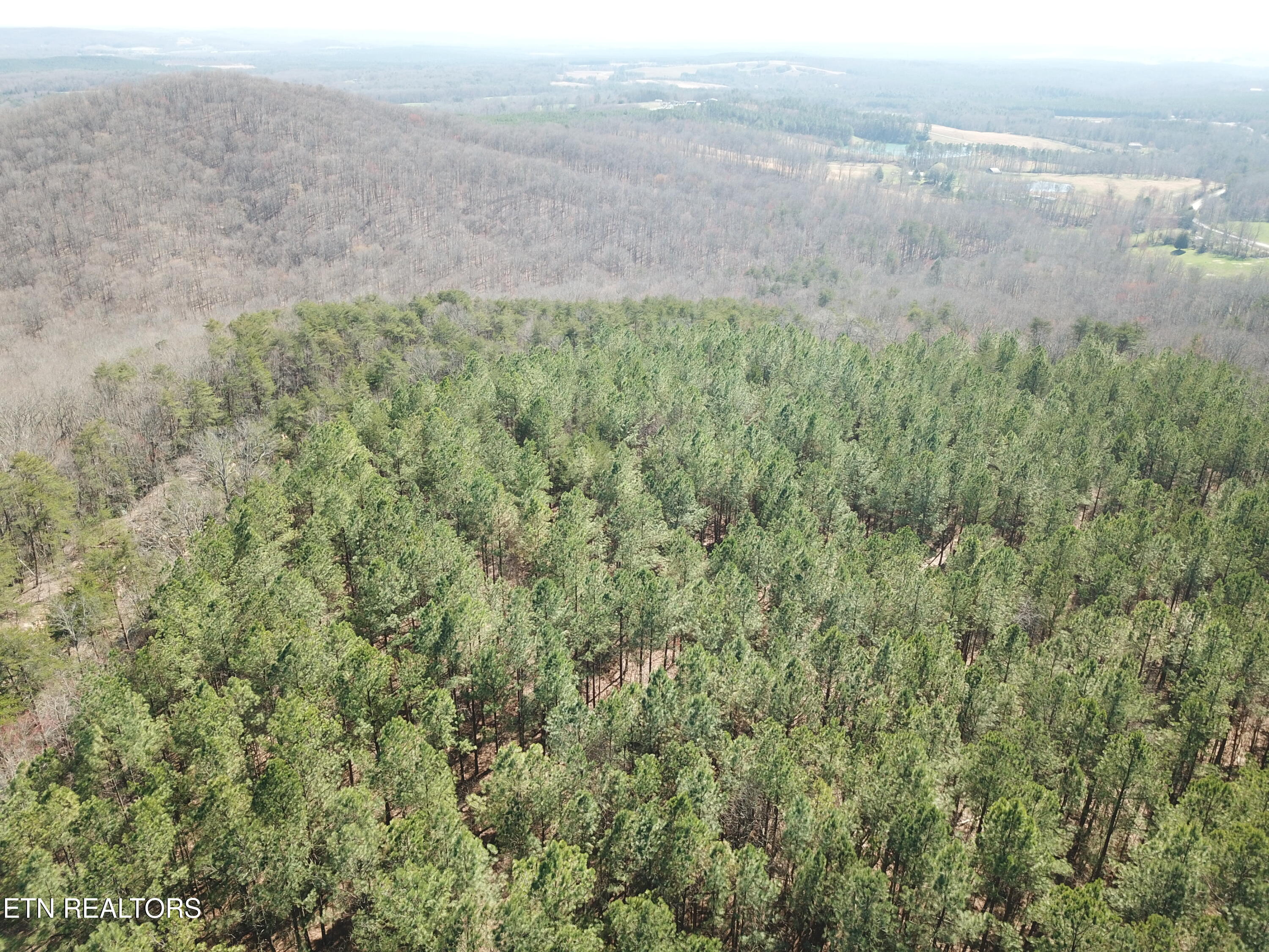 Buckridge Road Crossville TN 38572