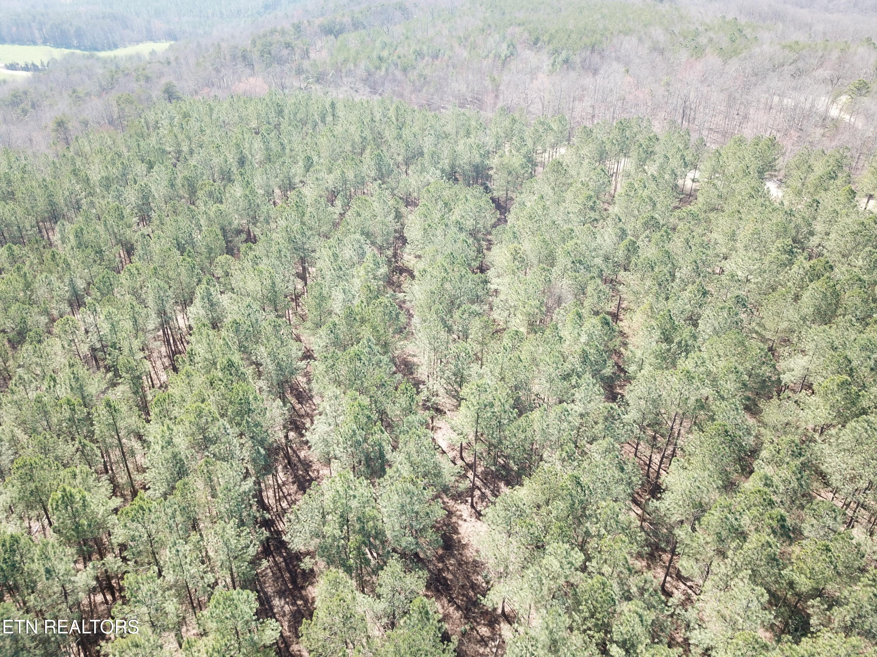 Buckridge Road Crossville TN 38572