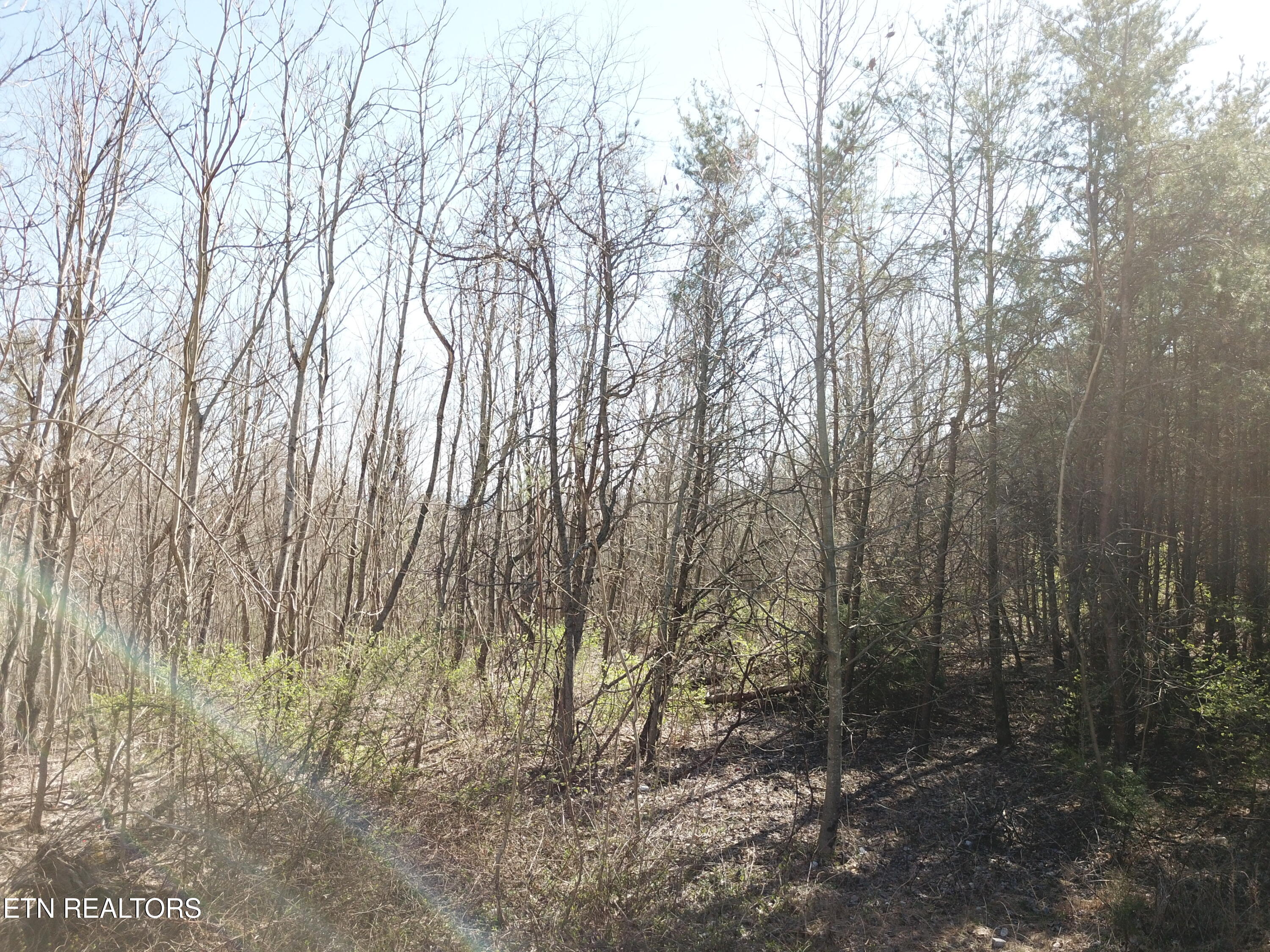 Buckridge Road Crossville TN 38572