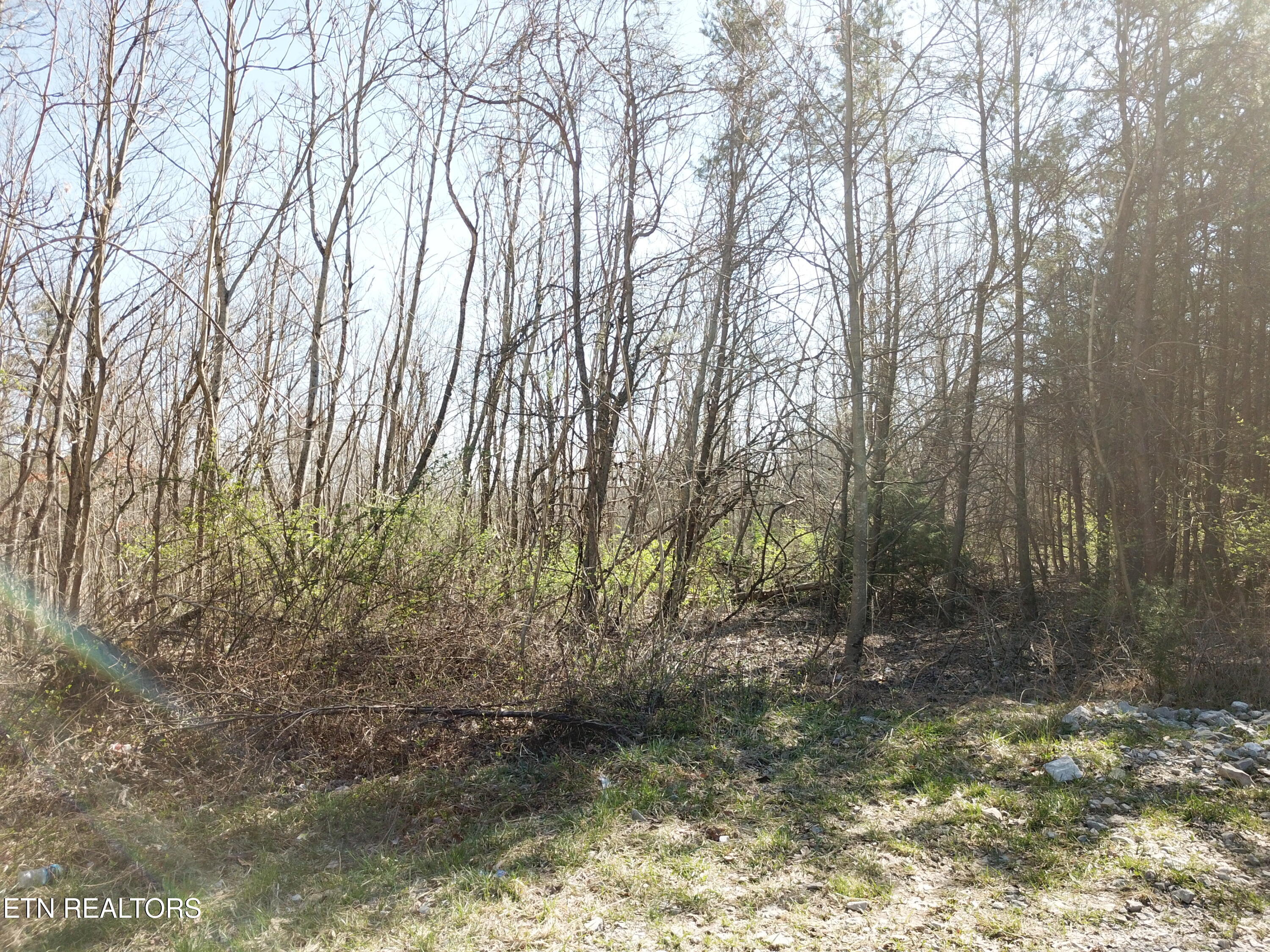 Buckridge Road Crossville TN 38572