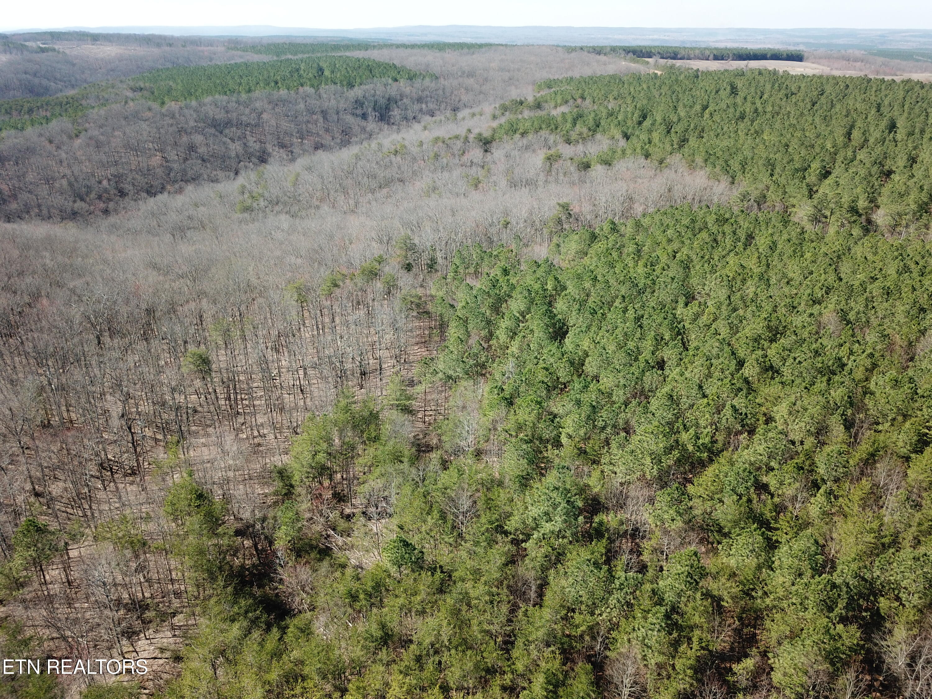Buckridge Road Crossville TN 38572