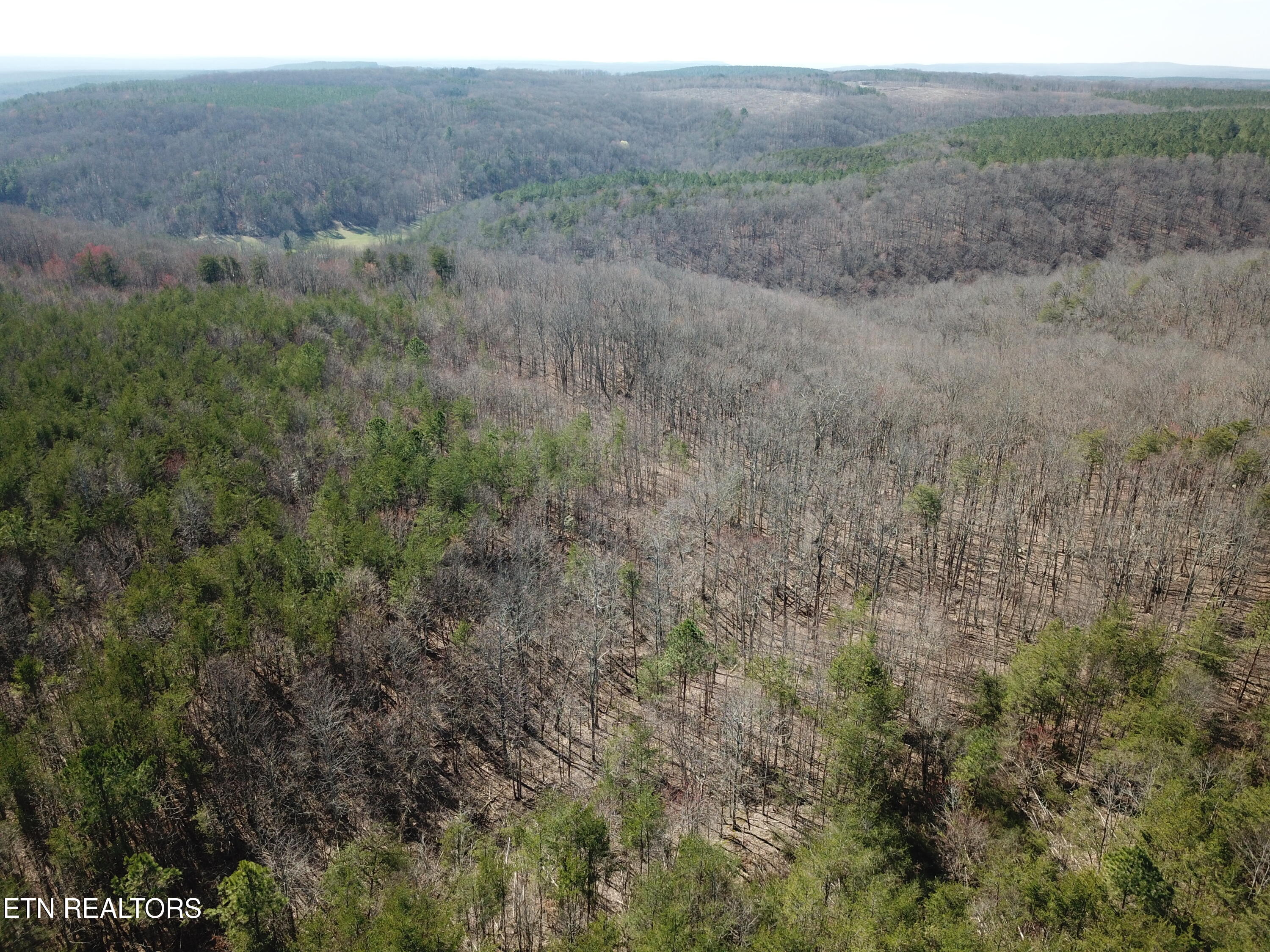Buckridge Road Crossville TN 38572