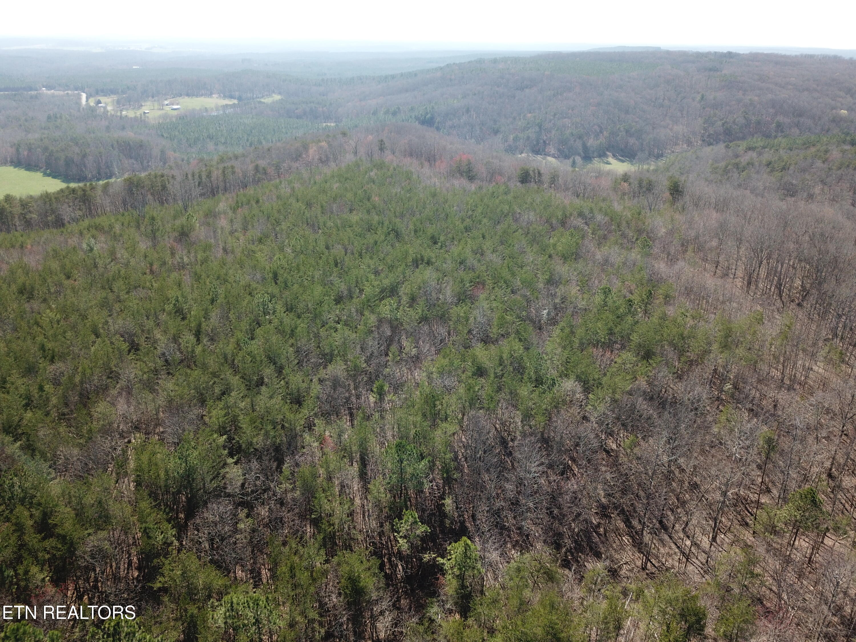 Buckridge Road Crossville TN 38572