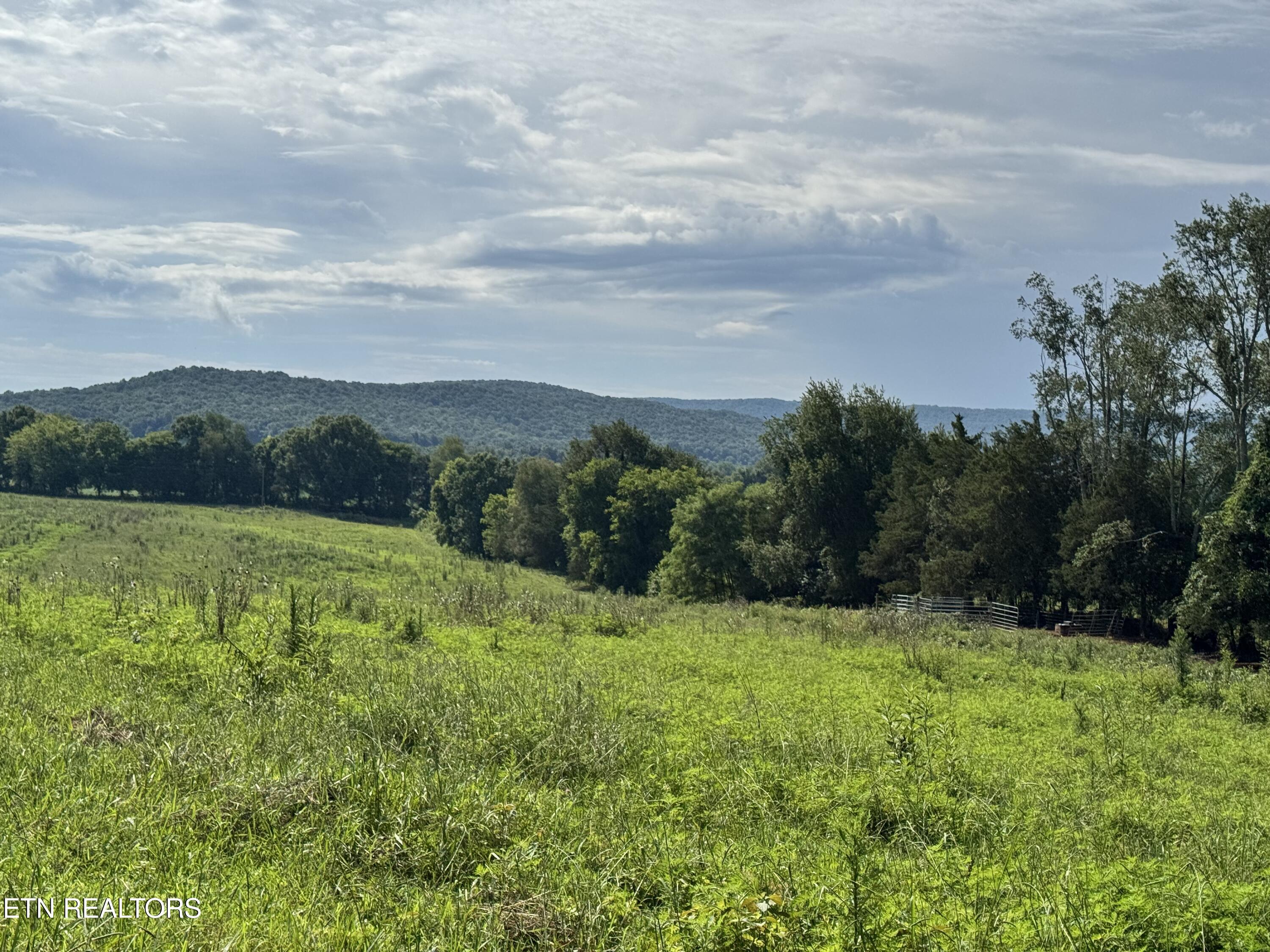 Tbd Collier Lane Rock Island TN 38581
