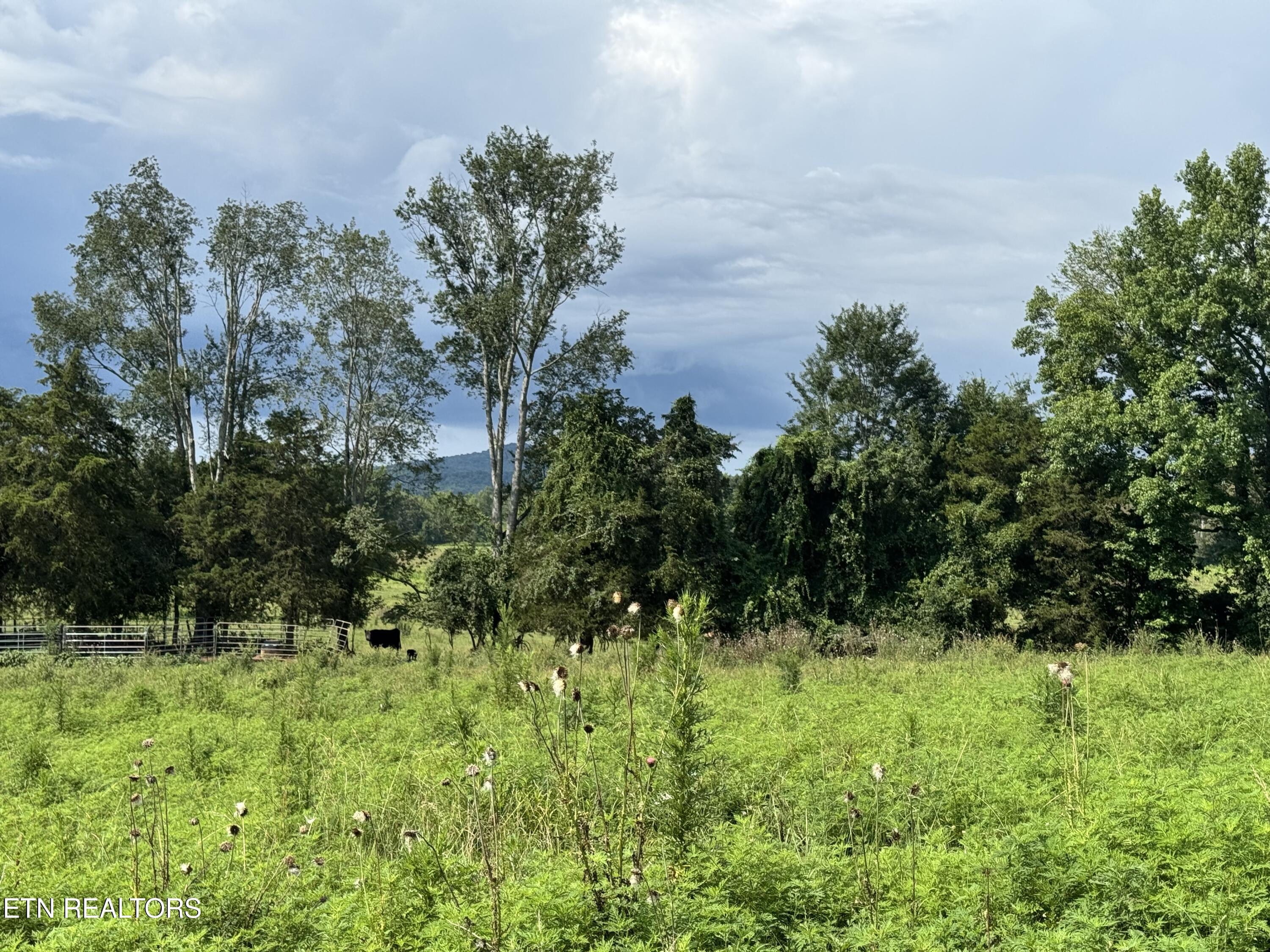 Tbd Collier Lane Rock Island TN 38581