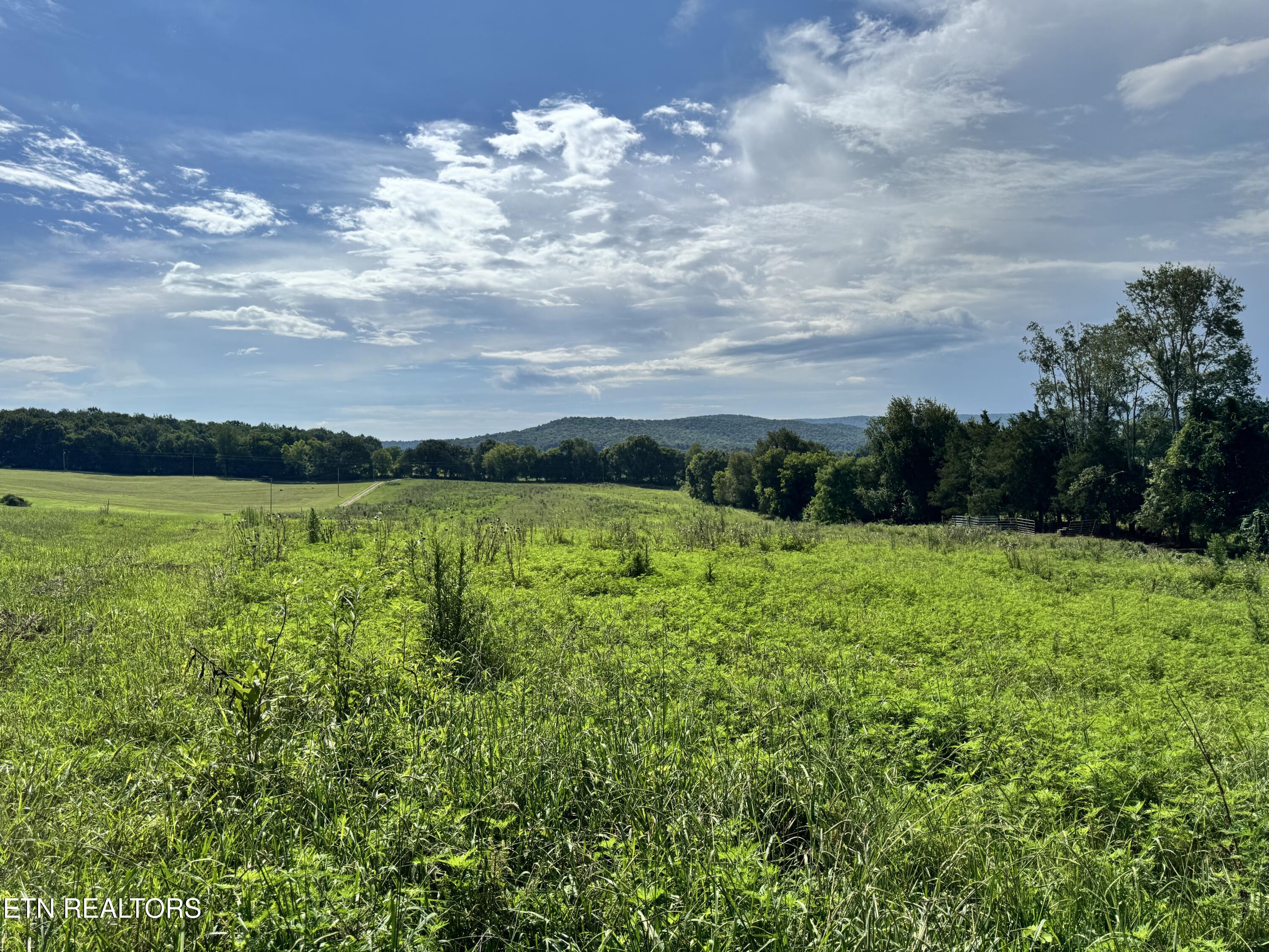 Tbd Collier Lane Rock Island TN 38581