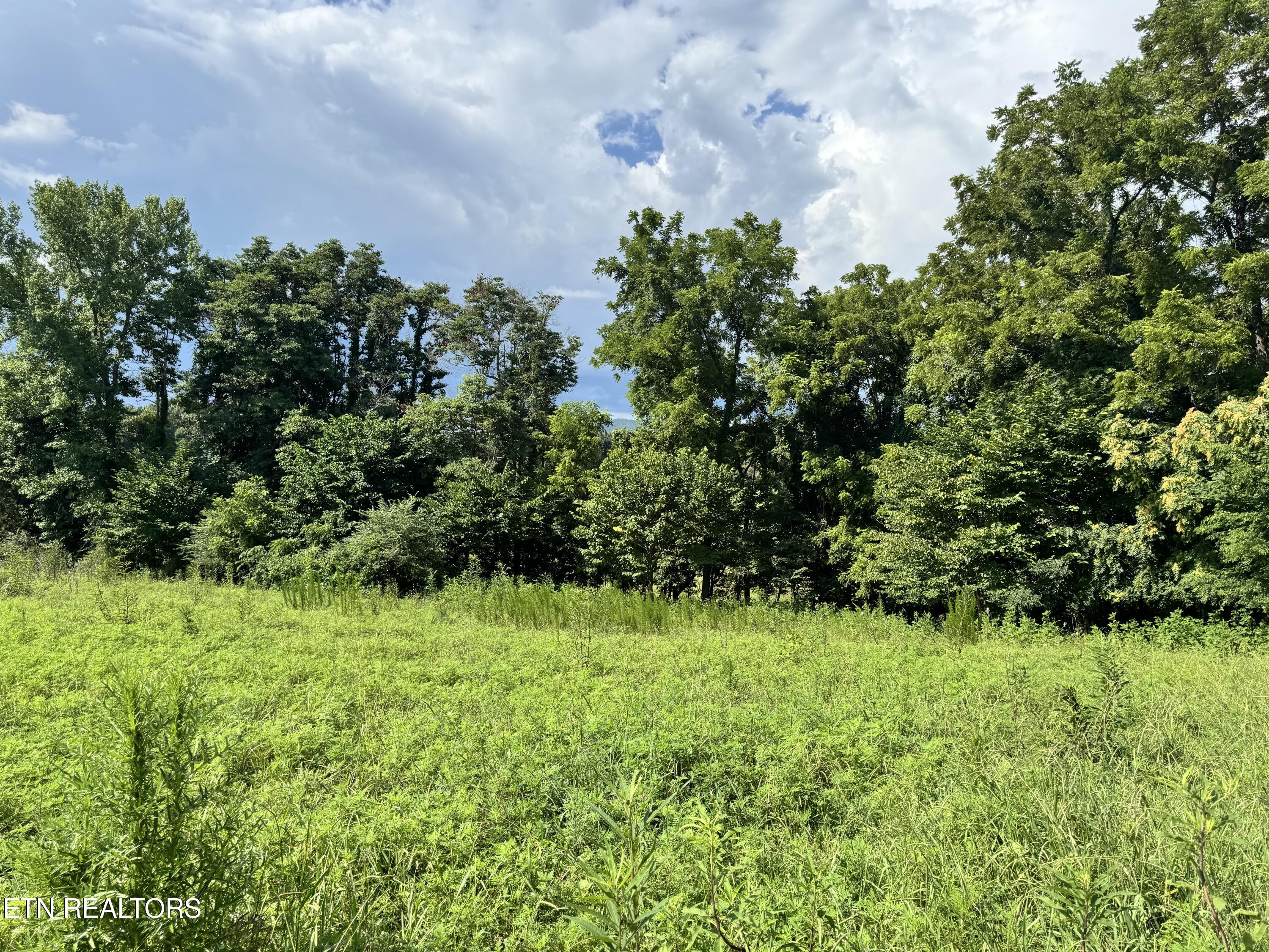 Tbd Collier Lane Rock Island TN 38581