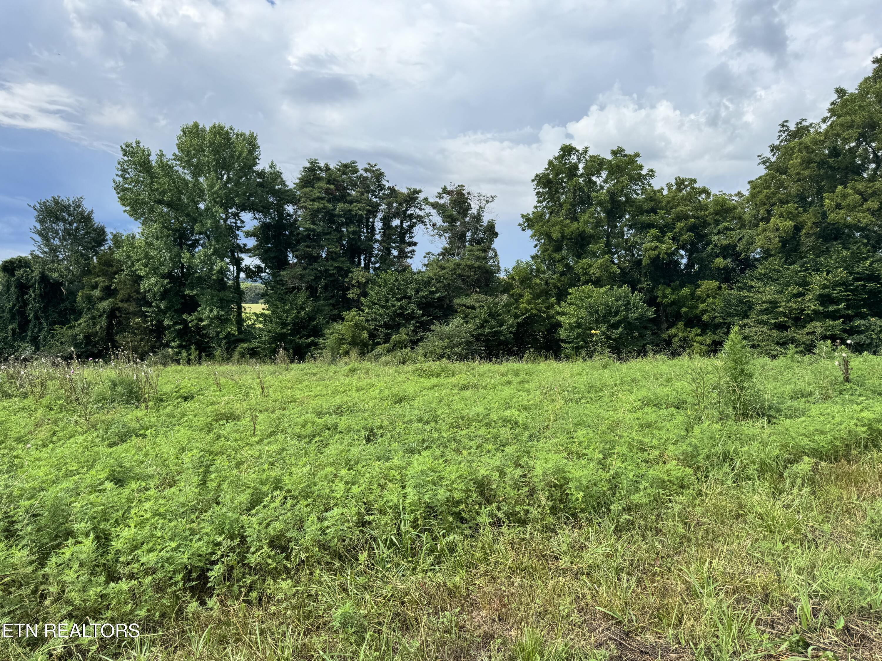 Tbd Collier Lane Rock Island TN 38581