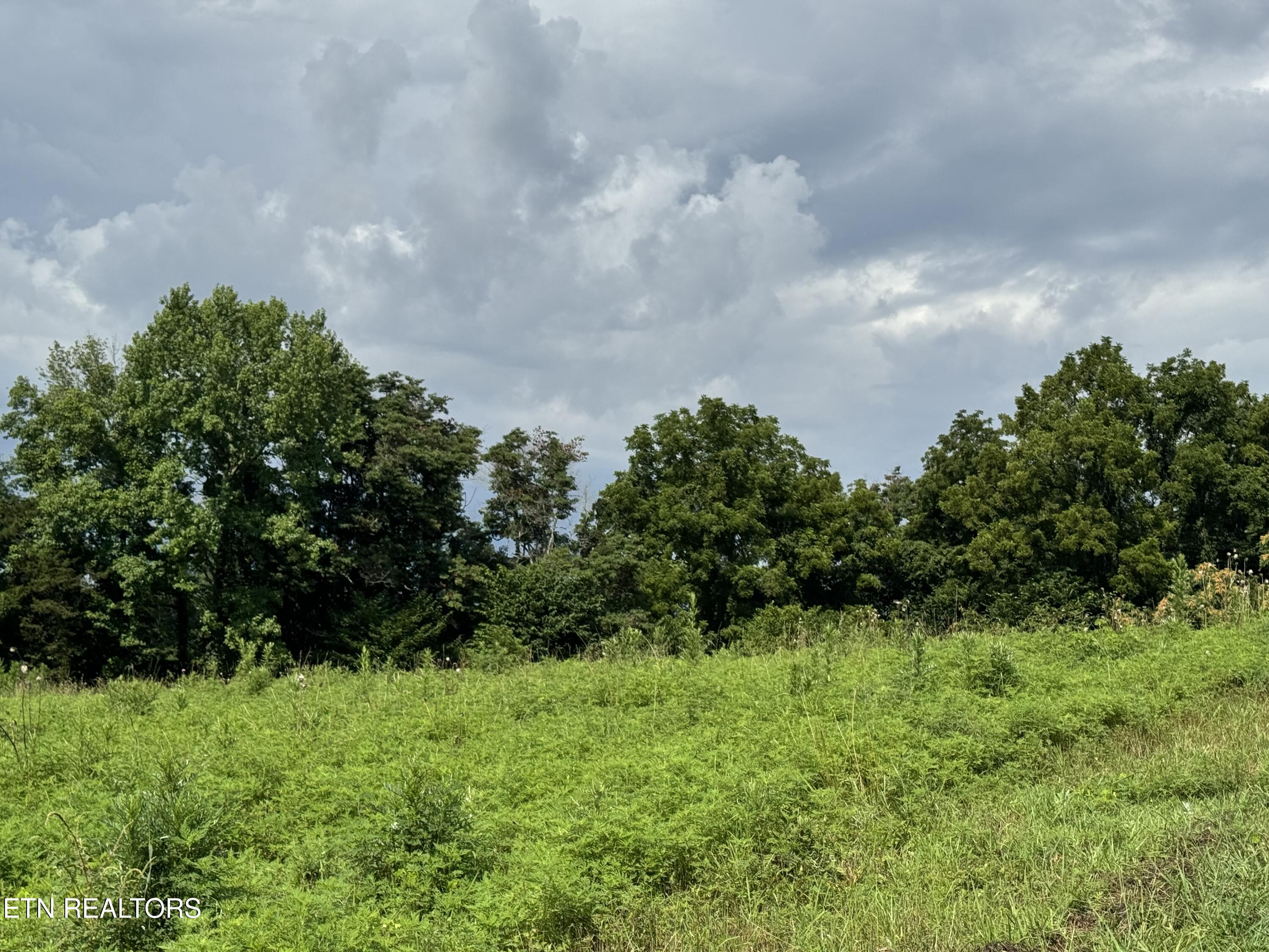 Tbd Collier Lane Rock Island TN 38581