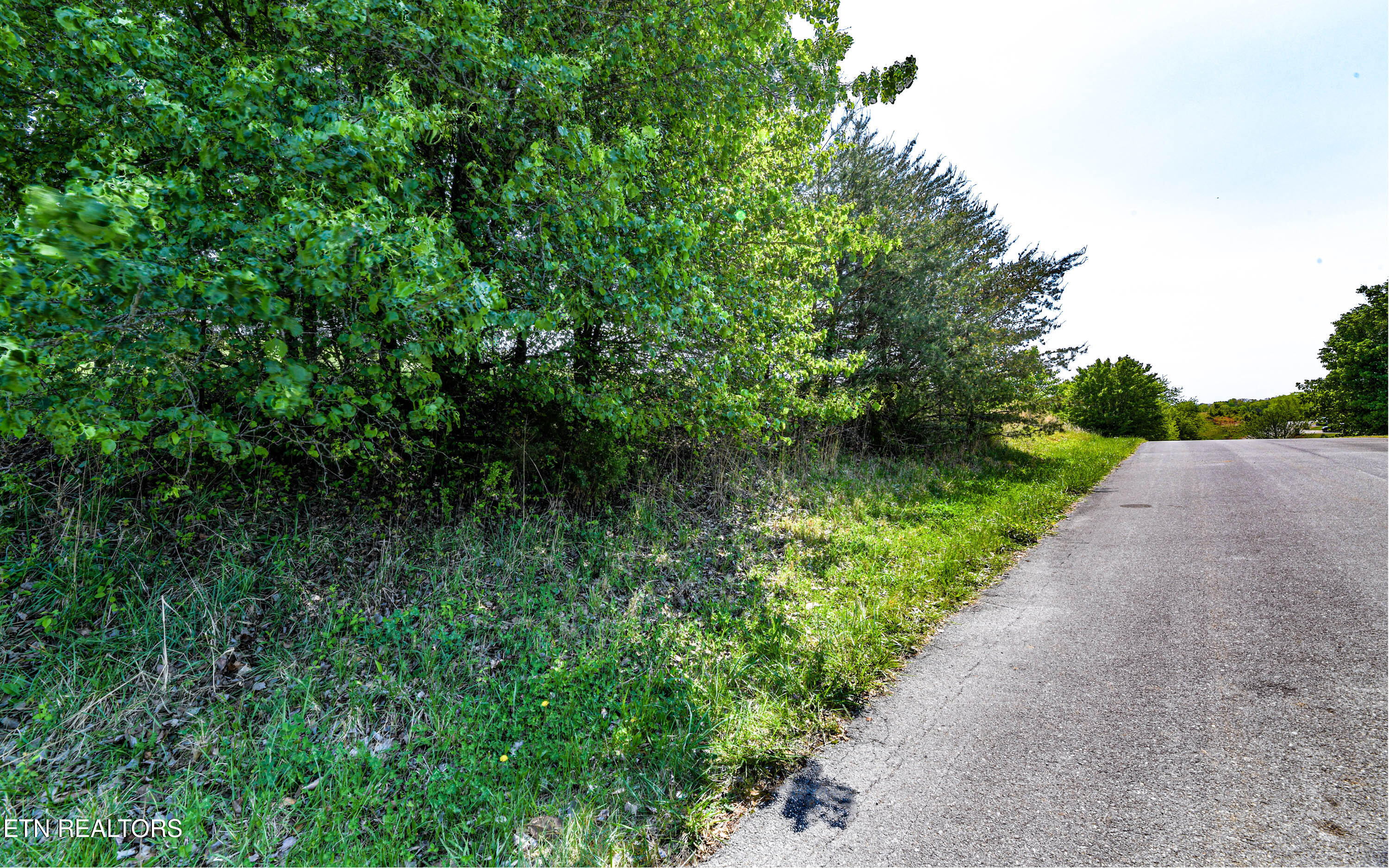 Lot 96 Marble View Drive Kingston TN 37763