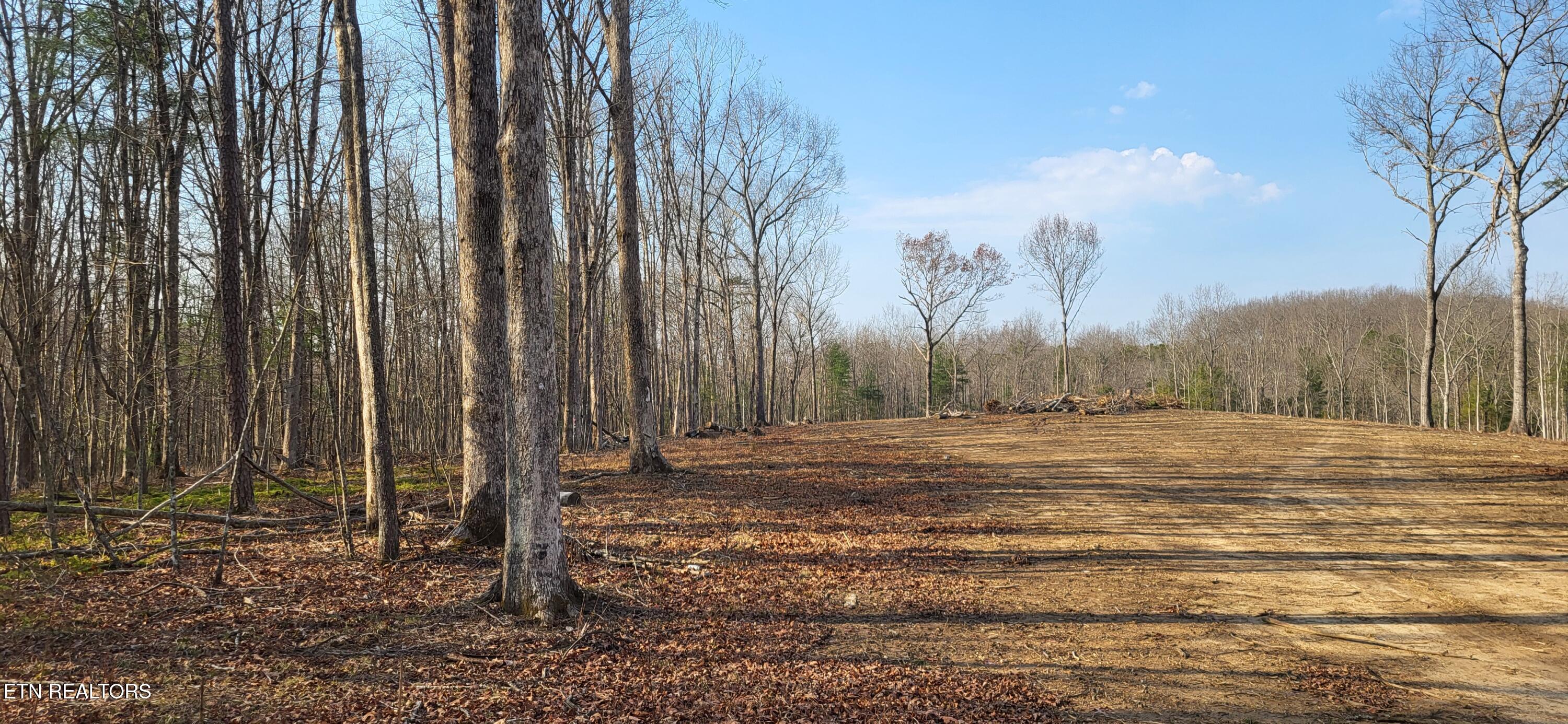 2936 Leatherwood Ford Road Jamestown TN 38556