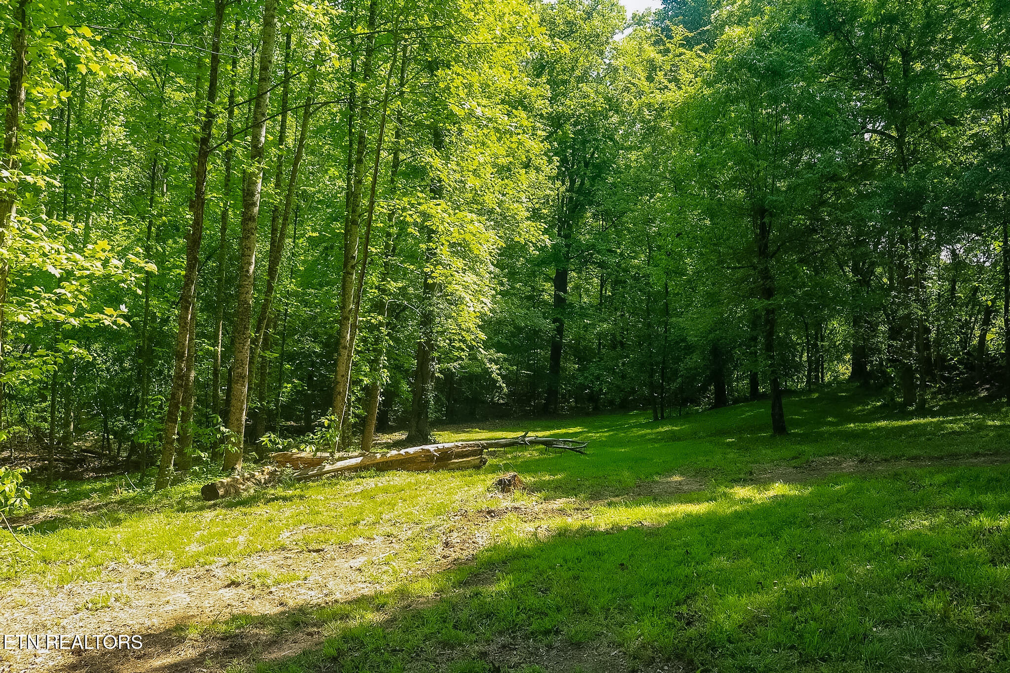 984 Deerwood Drive Dandridge TN 37725