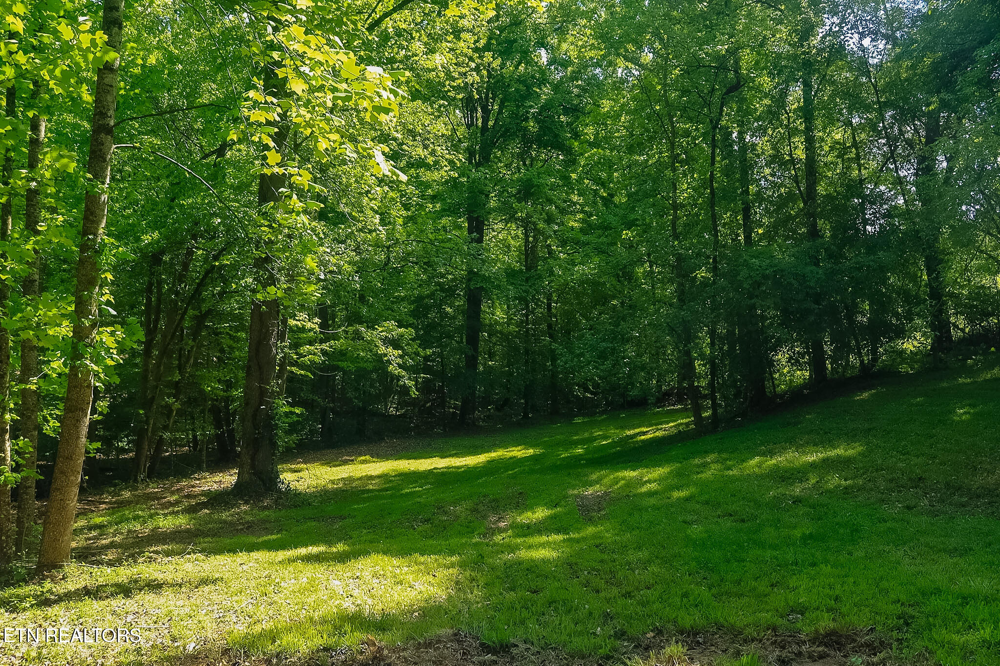 984 Deerwood Drive Dandridge TN 37725