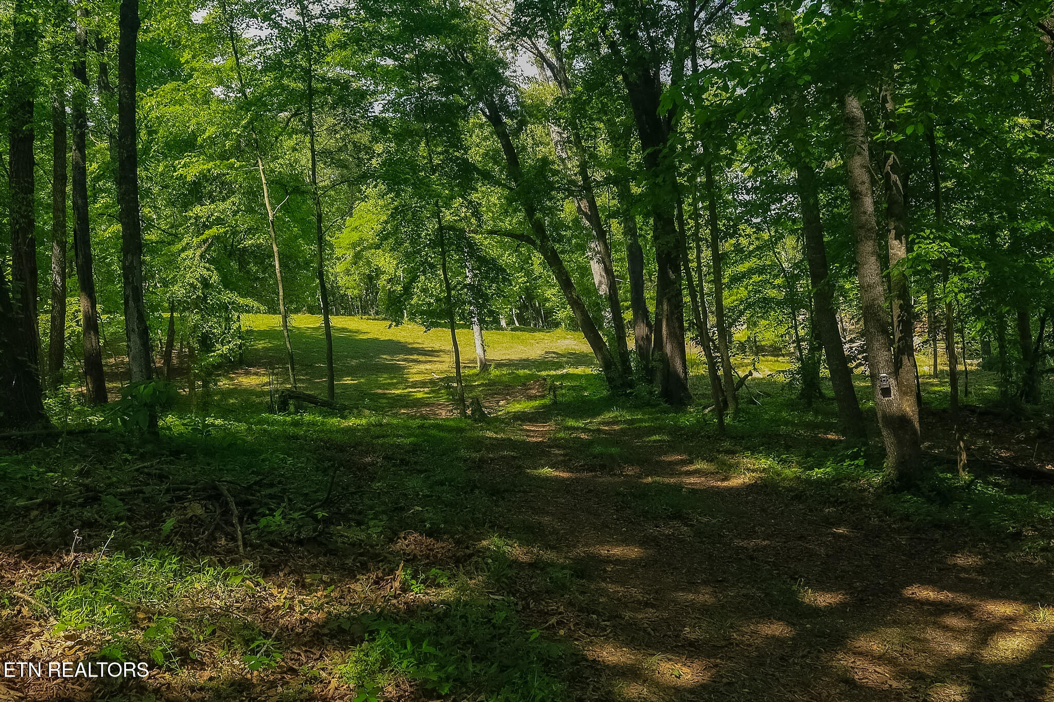 984 Deerwood Drive Dandridge TN 37725