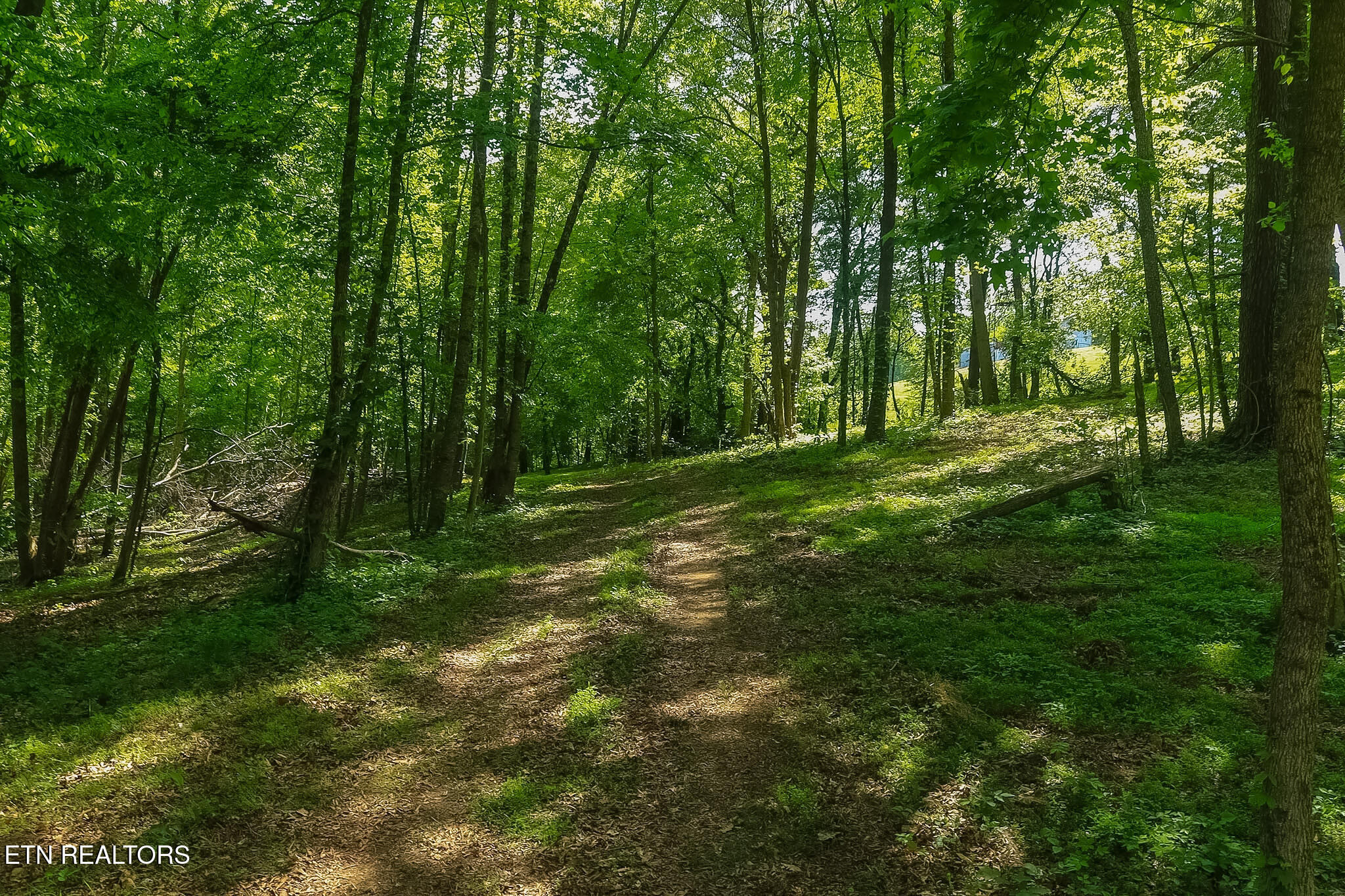 984 Deerwood Drive Dandridge TN 37725