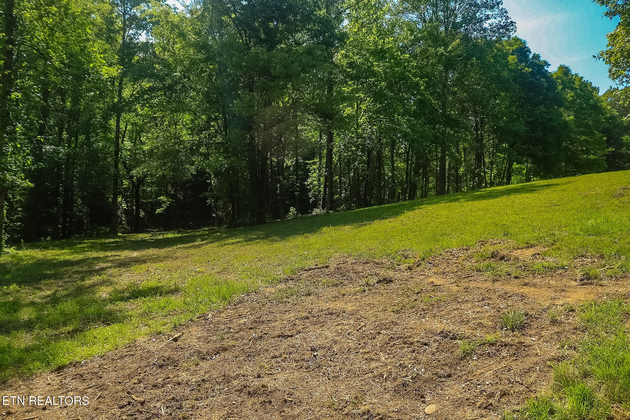 984 Deerwood Drive Dandridge TN 37725