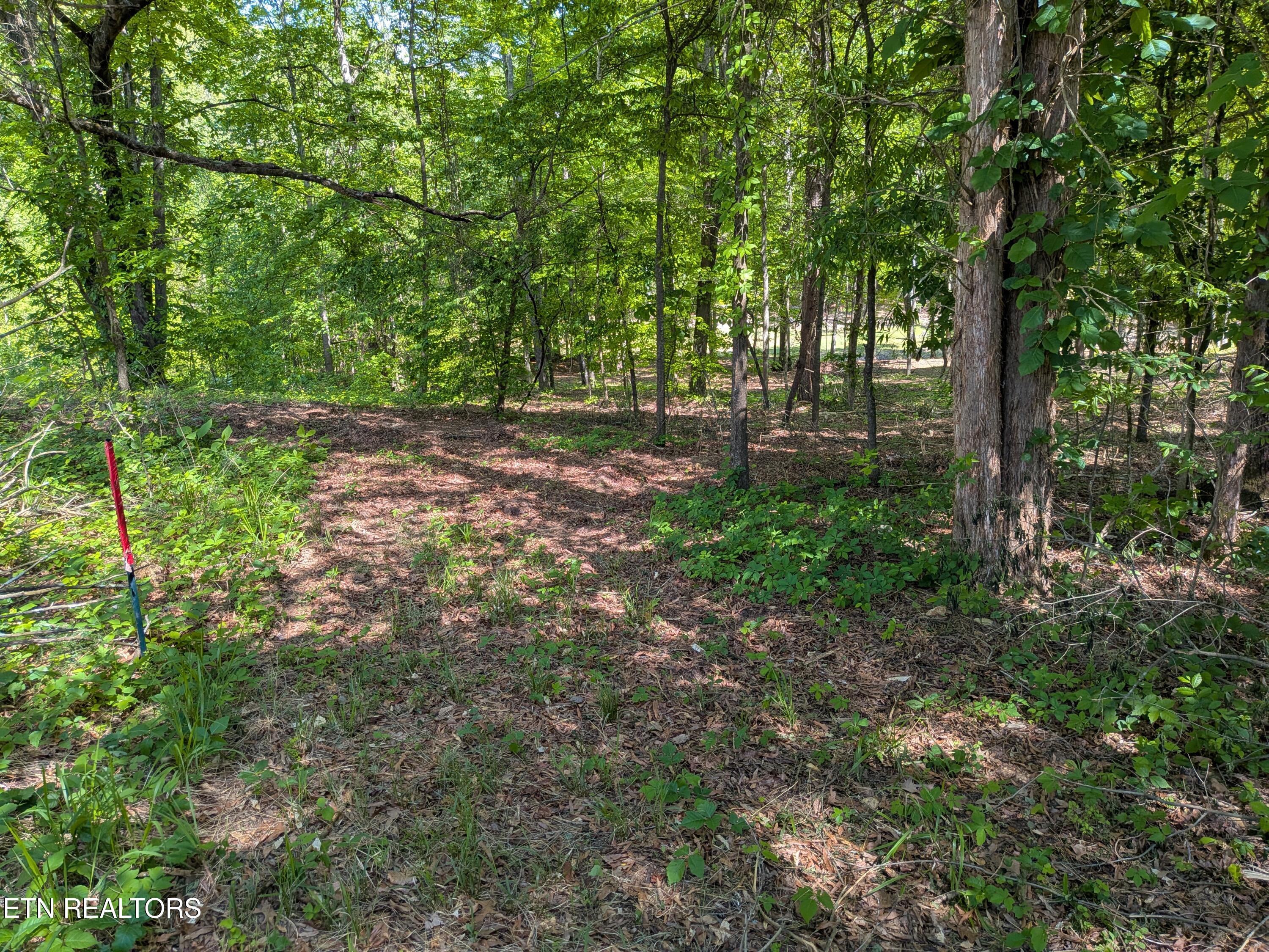 984 Deerwood Drive Dandridge TN 37725