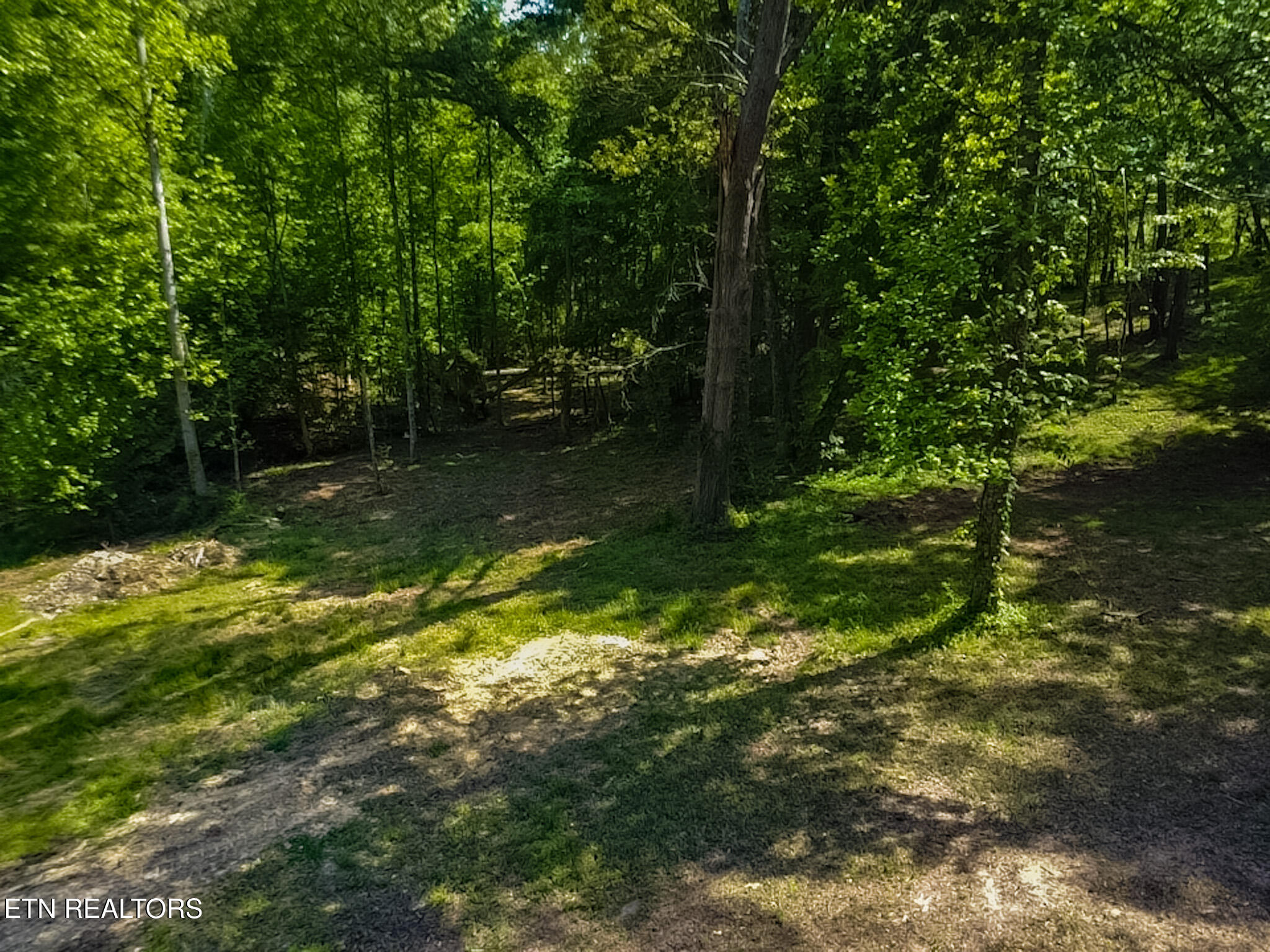 984 Deerwood Drive Dandridge TN 37725