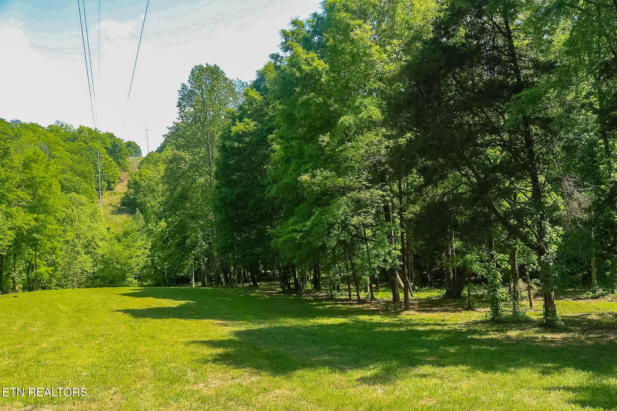 984 Deerwood Drive Dandridge TN 37725