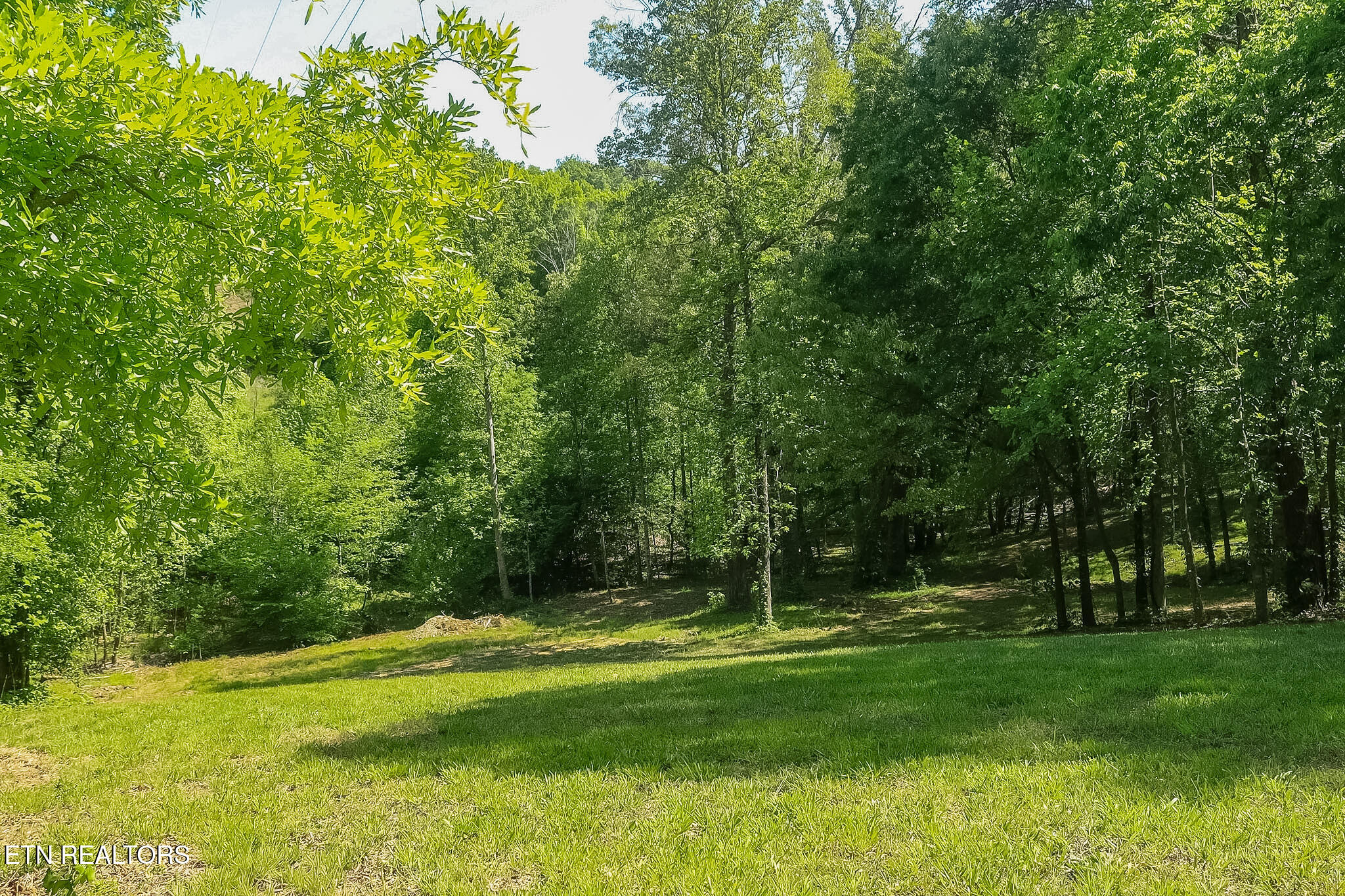 984 Deerwood Drive Dandridge TN 37725